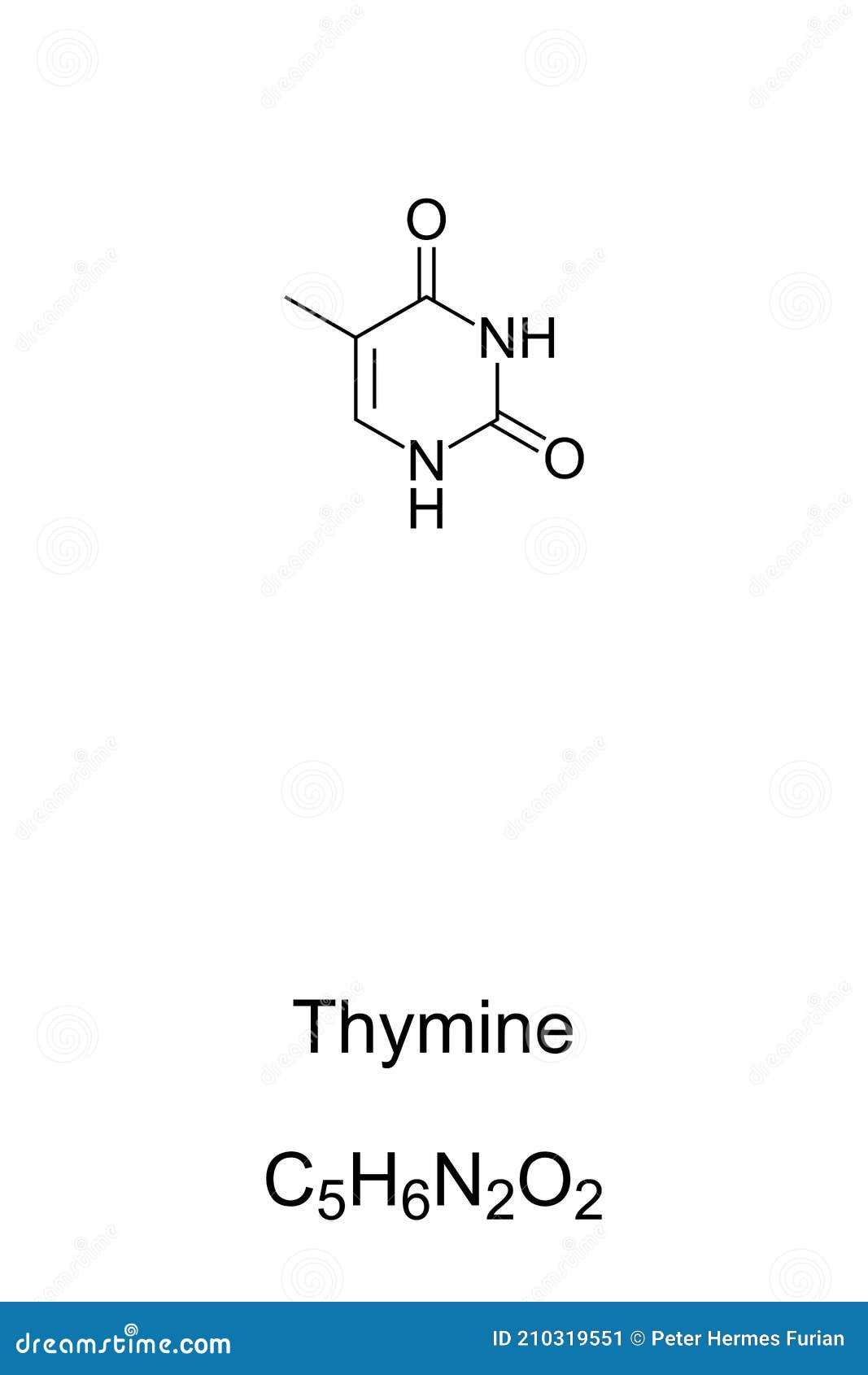 thymine, t, thy, nucleobase, chemical formula and skeletal structure
