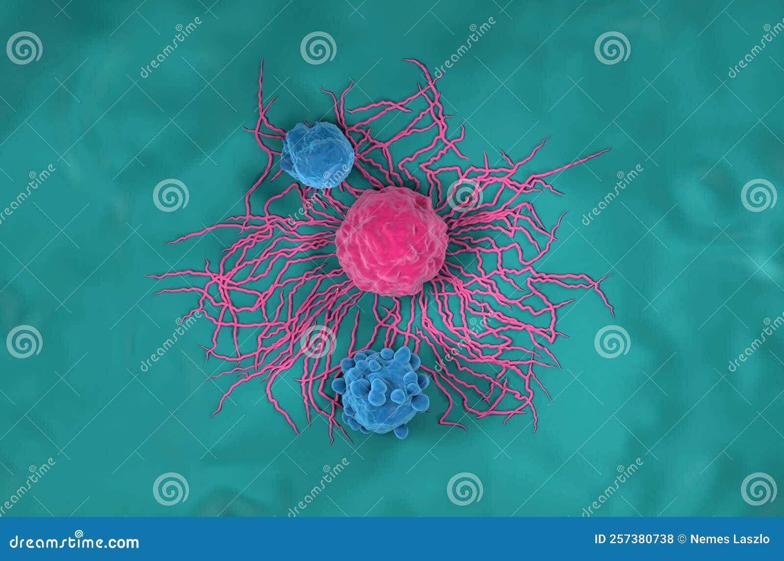 stock illustration. Illustration of 257380738