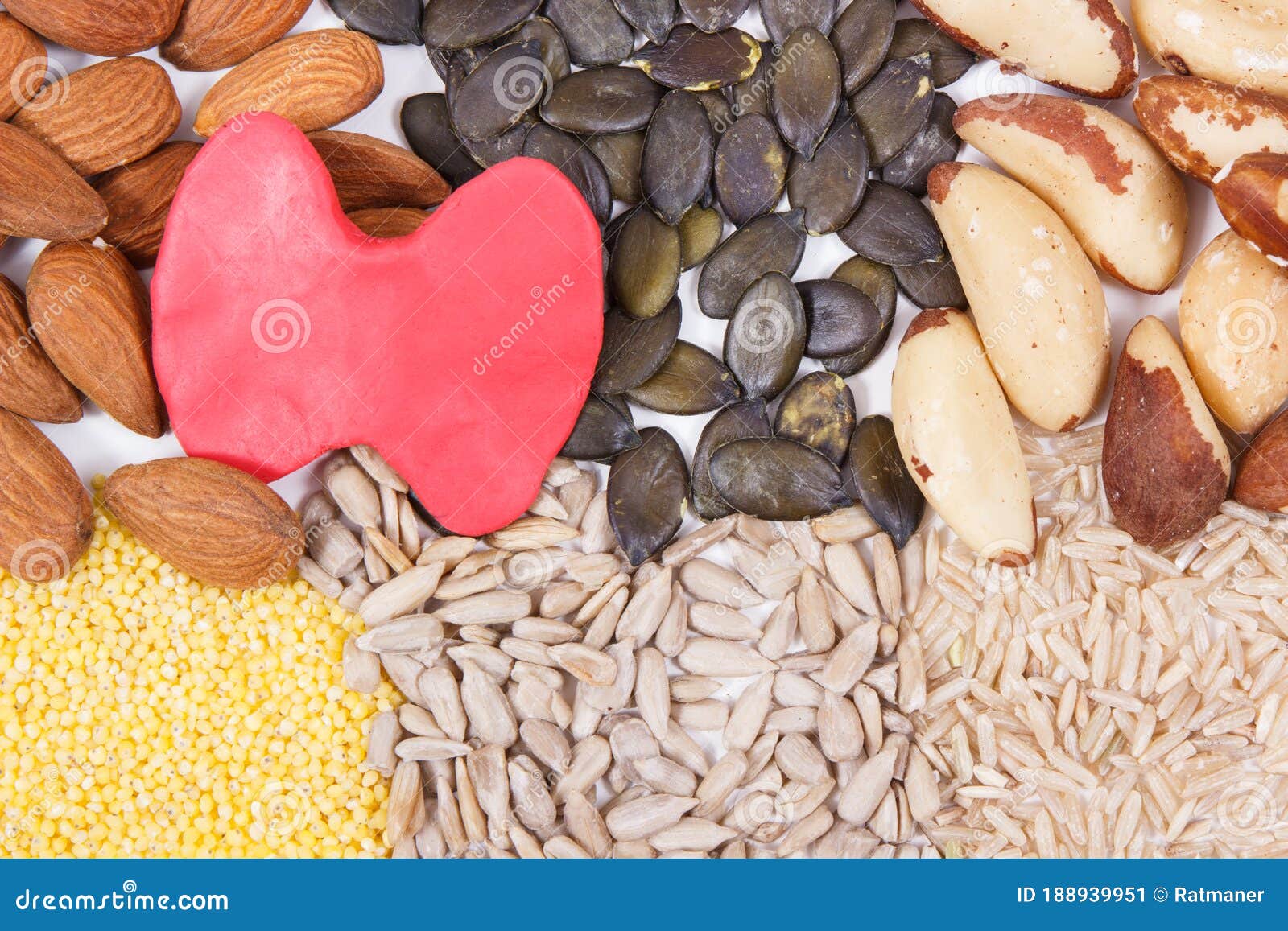 Thyroid Shape and Best Nutritious Food for Healthy Thyroid Stock Image