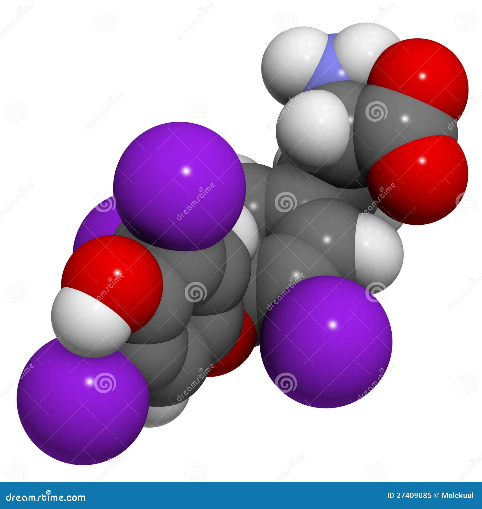 Thyroxine — wikipédia