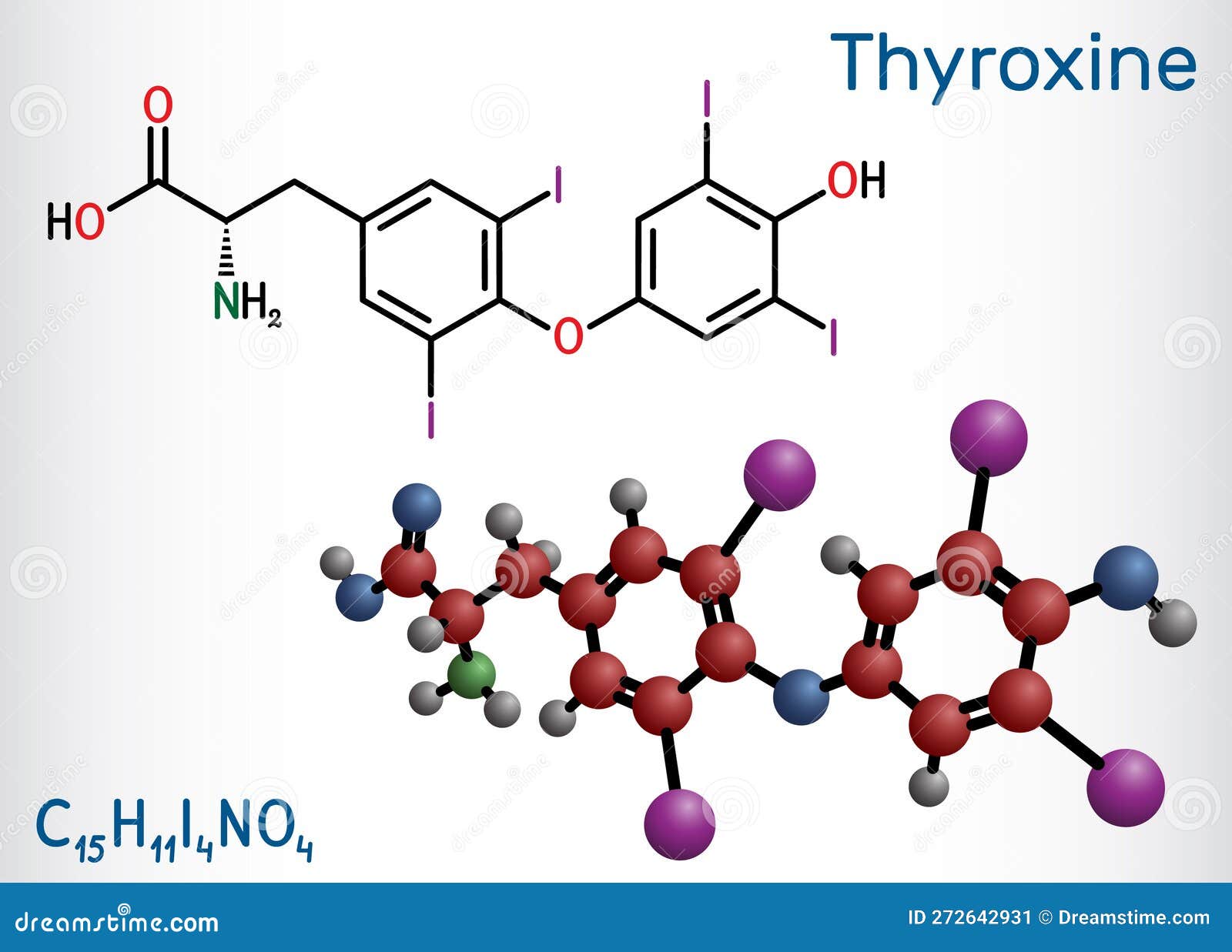 Levothyroxine Molecule, Molecular Structures, L-thyroxine, 3d Model ...