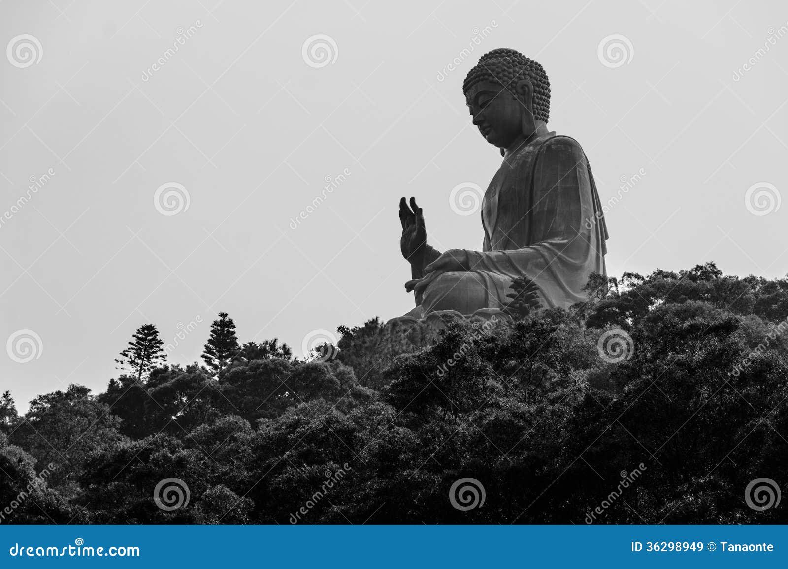 Tian Tan Buddha in Lantau island, Hong Kong. Tian Tan Buddha, also known as the Big Buddha, is a large bronze statue of a Buddha Amoghasiddhi, located at Ngong Ping, Lantau Island, in Hong Kong. The statue is located near Po Lin Monastery and symbolises the harmonious relationship between man and nature, people and religion.