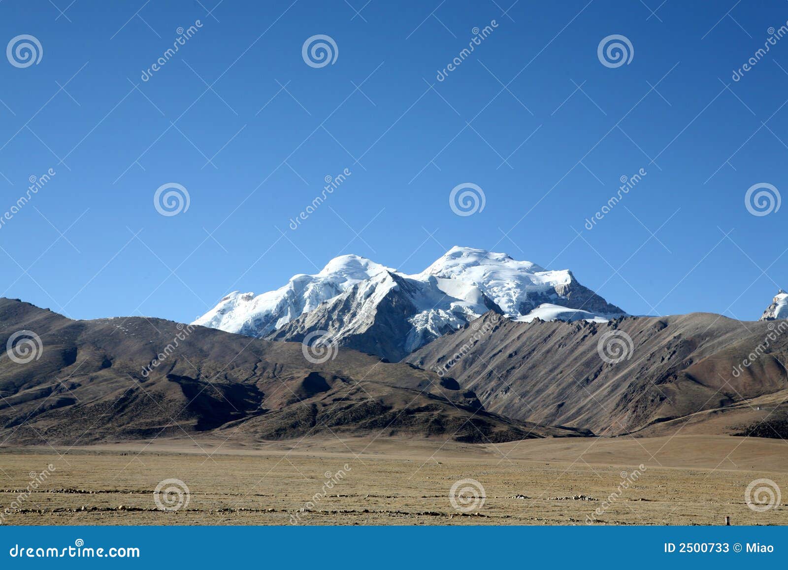 tibet altiplano