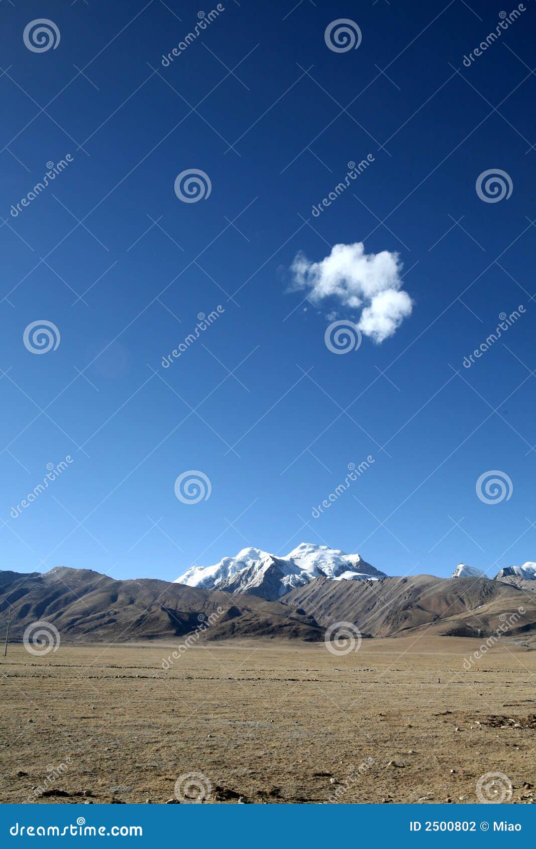 tibet altiplano