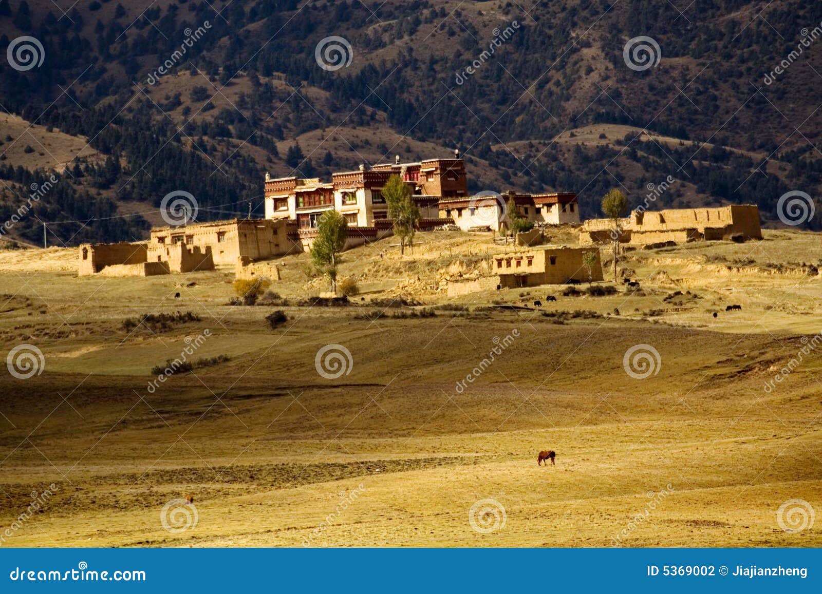 tibet altiplano