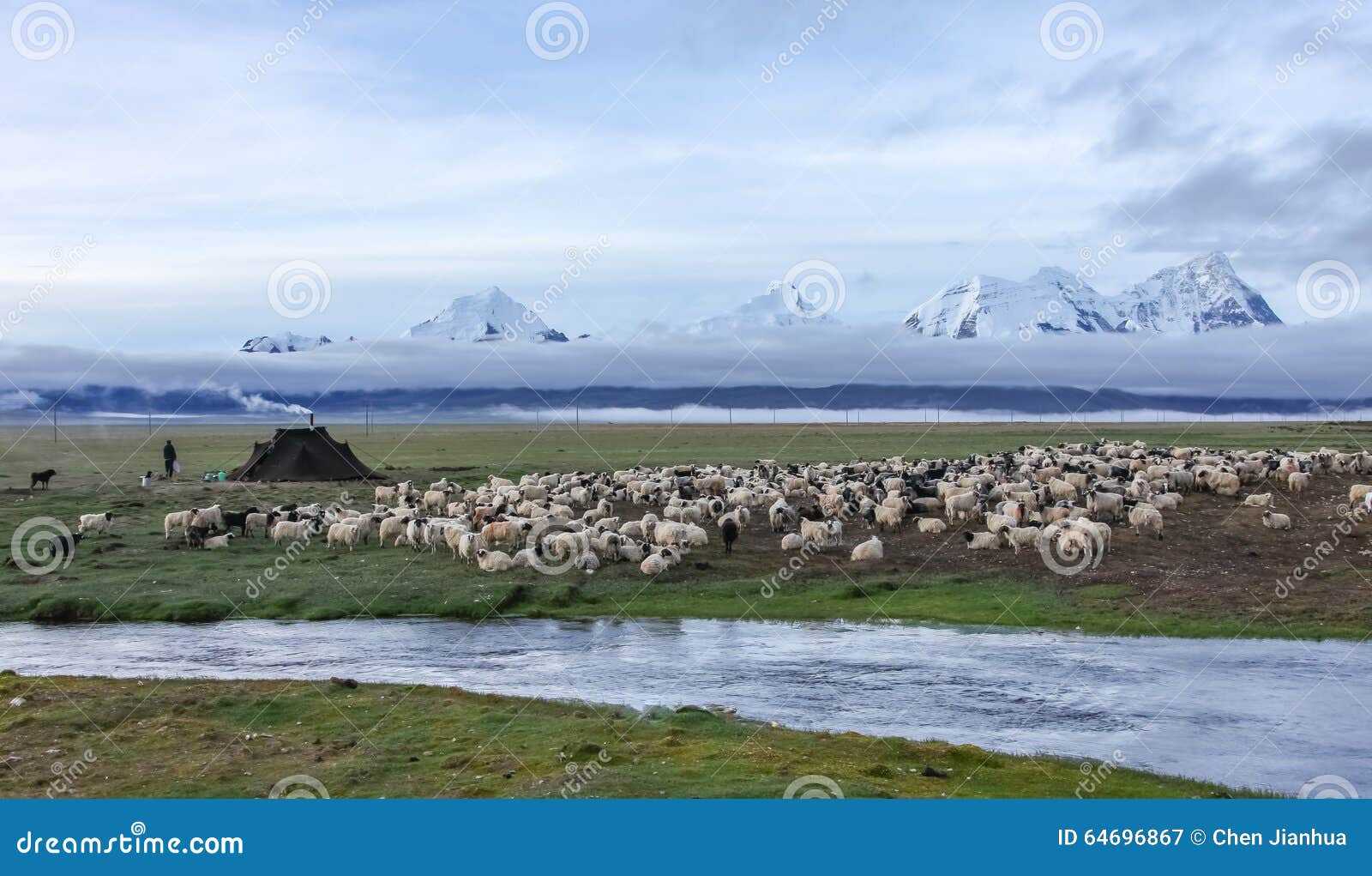 Tibet scenery stock image. Image of pasture, green, county - 64696867