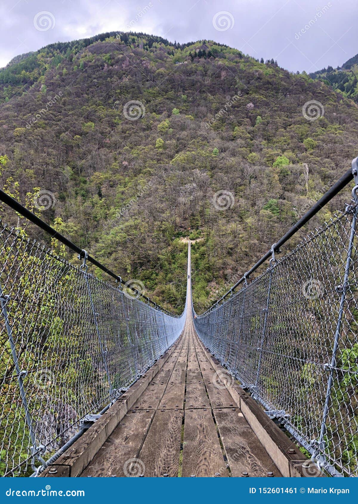 tibetan bridge carasc or ponte tibetano valle di sementina or tibetische brucke carasc, monte carasso