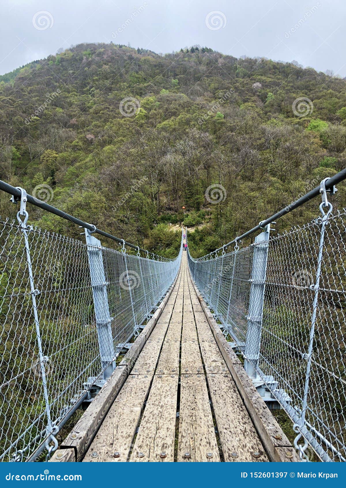 tibetan bridge carasc or ponte tibetano valle di sementina or tibetische brucke carasc, monte carasso