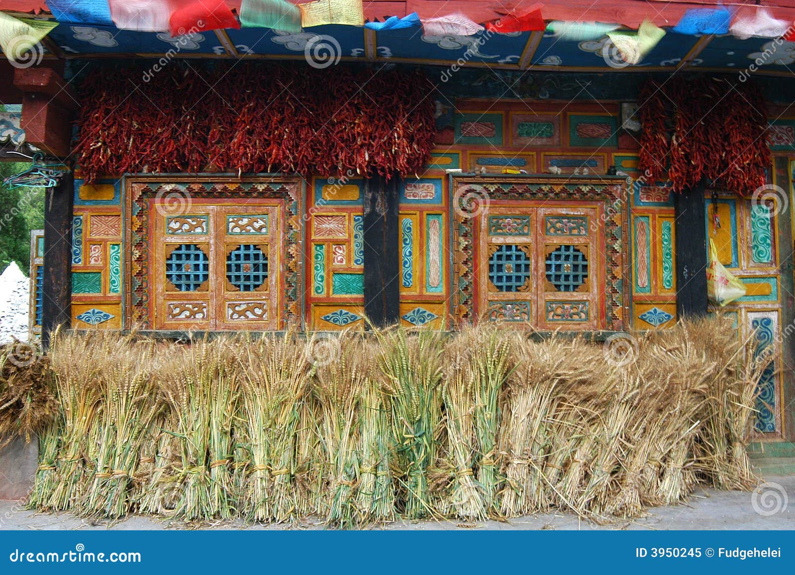 Tibetan famer s house stock image. Image of traditional 3950245