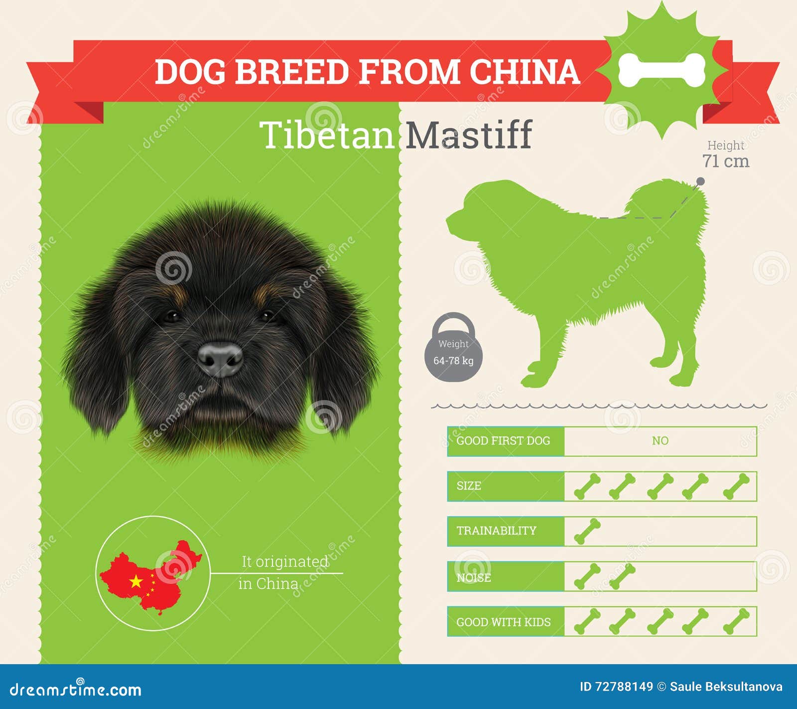 Big Dog Breeds Chart