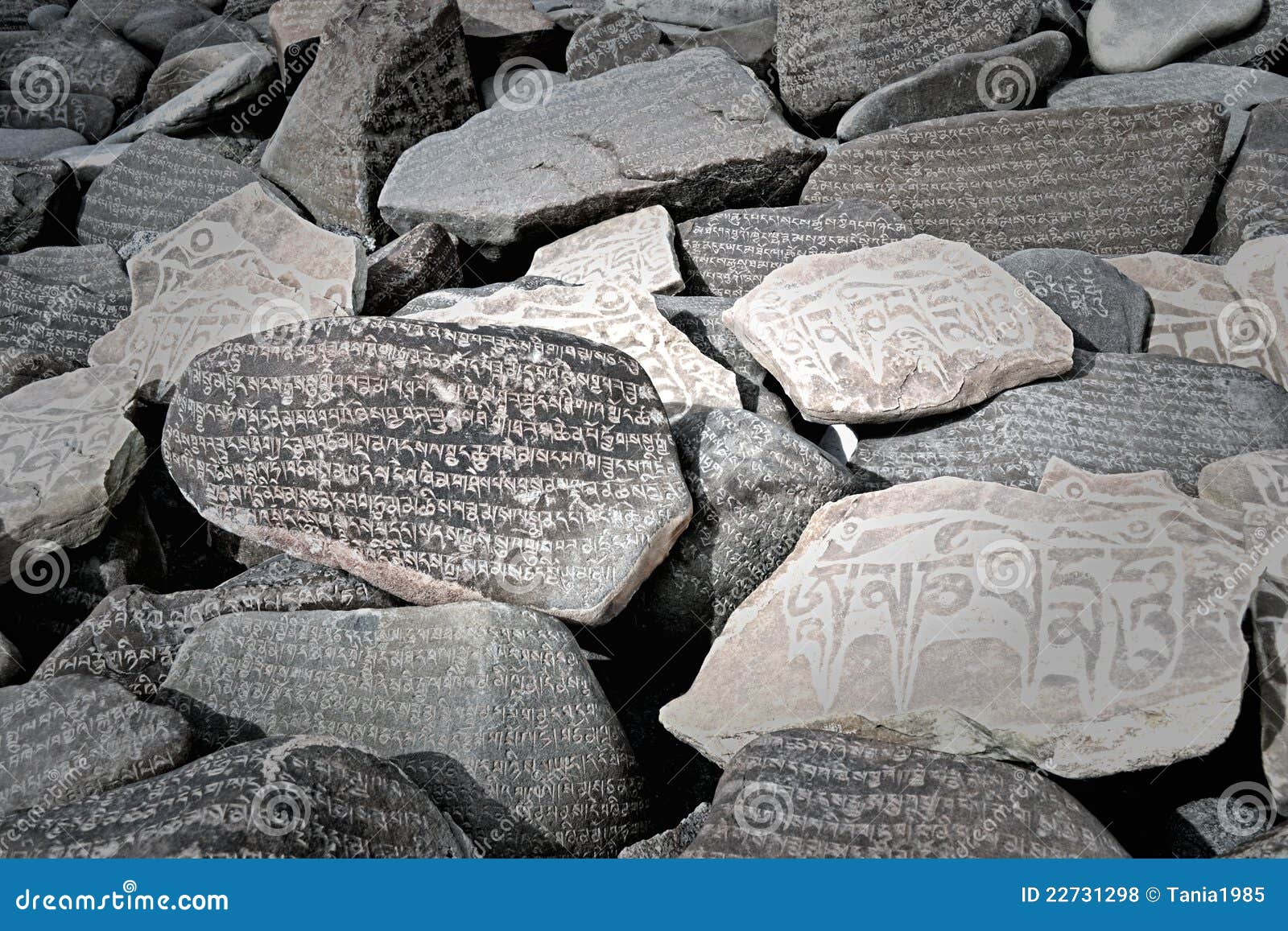 Tibetan Prayer Stones Royalty Free Stock Photos Image 22731298