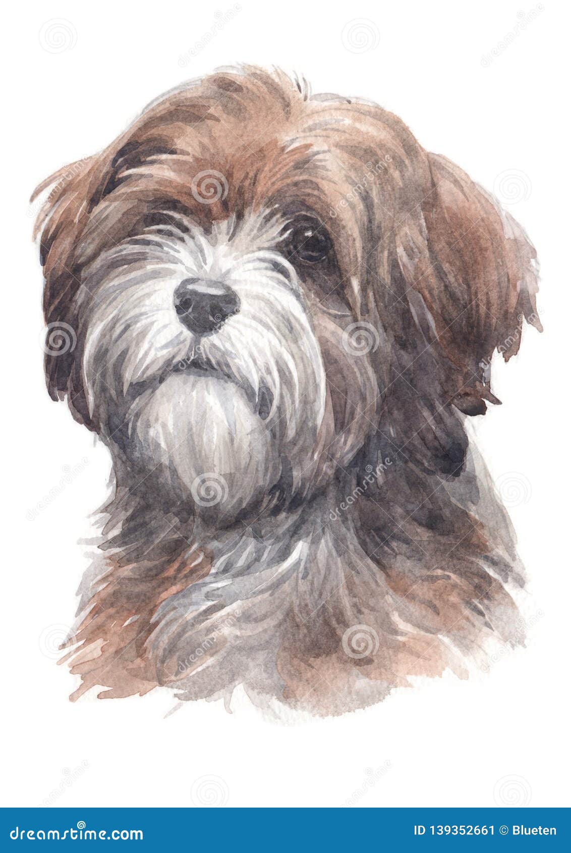 dog painting, long-haired tibetan breed terrier 021