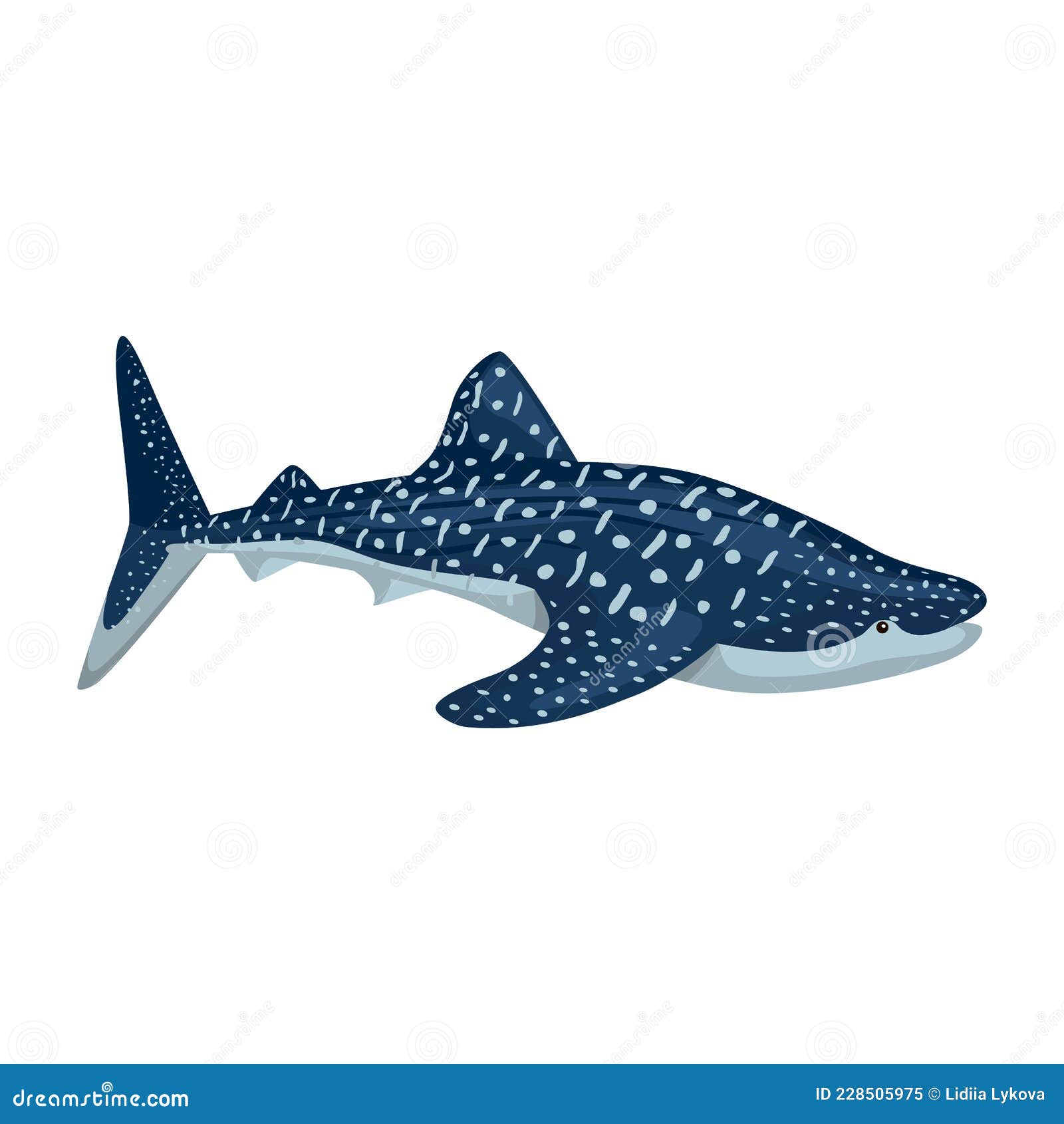 Tiburón Ballena Aislado En Fondo Blanco. Personaje De Dibujos Animados Del  Océano Para Niños Ilustración del Vector - Ilustración de color, animal:  228505975