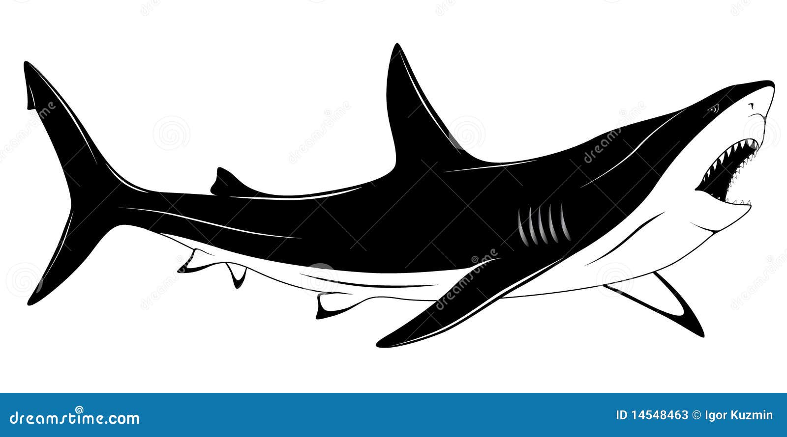 Tiburón, tatuaje ilustración del vector. Ilustración de inteligencia - 14548463