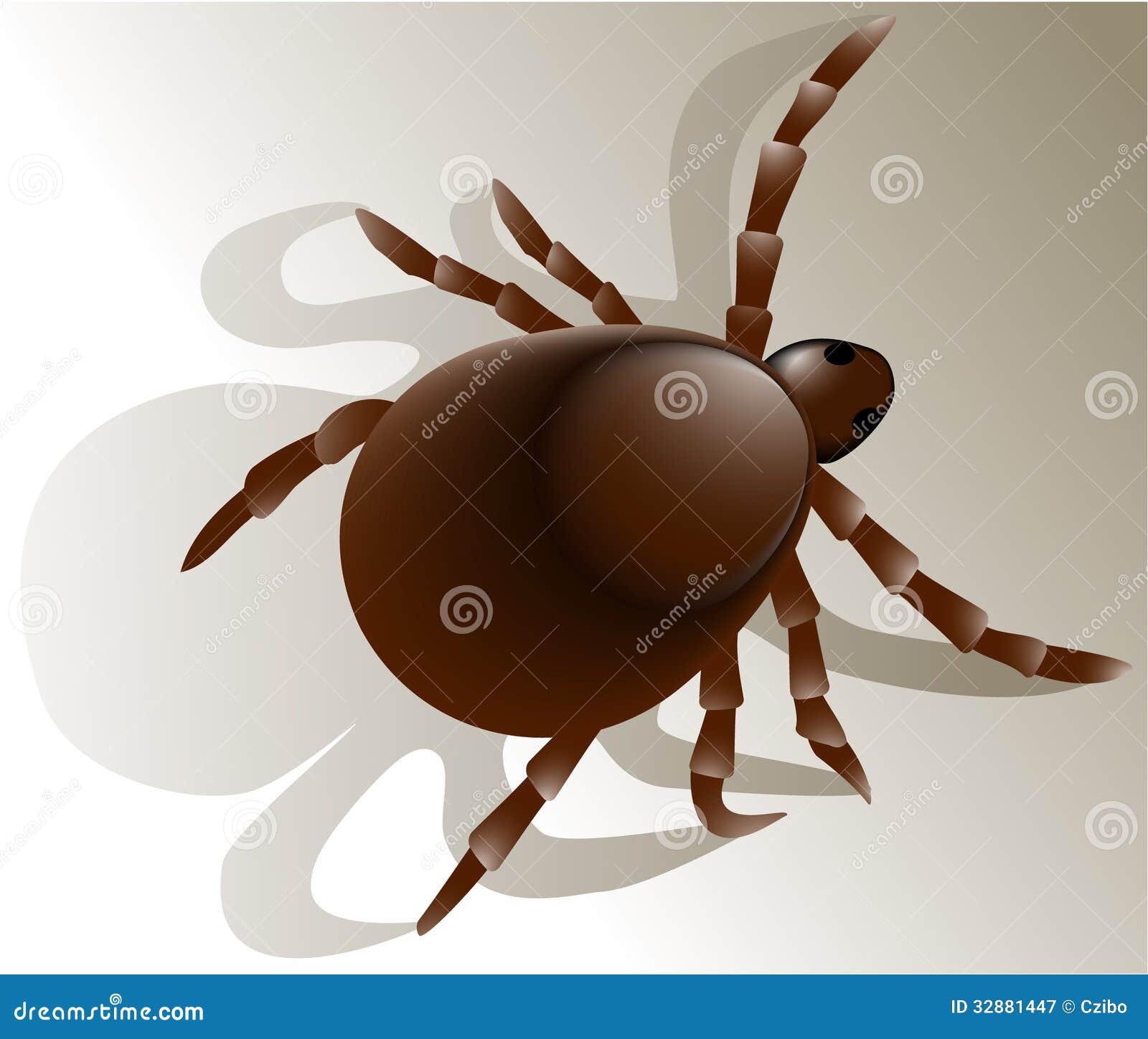 tick insect