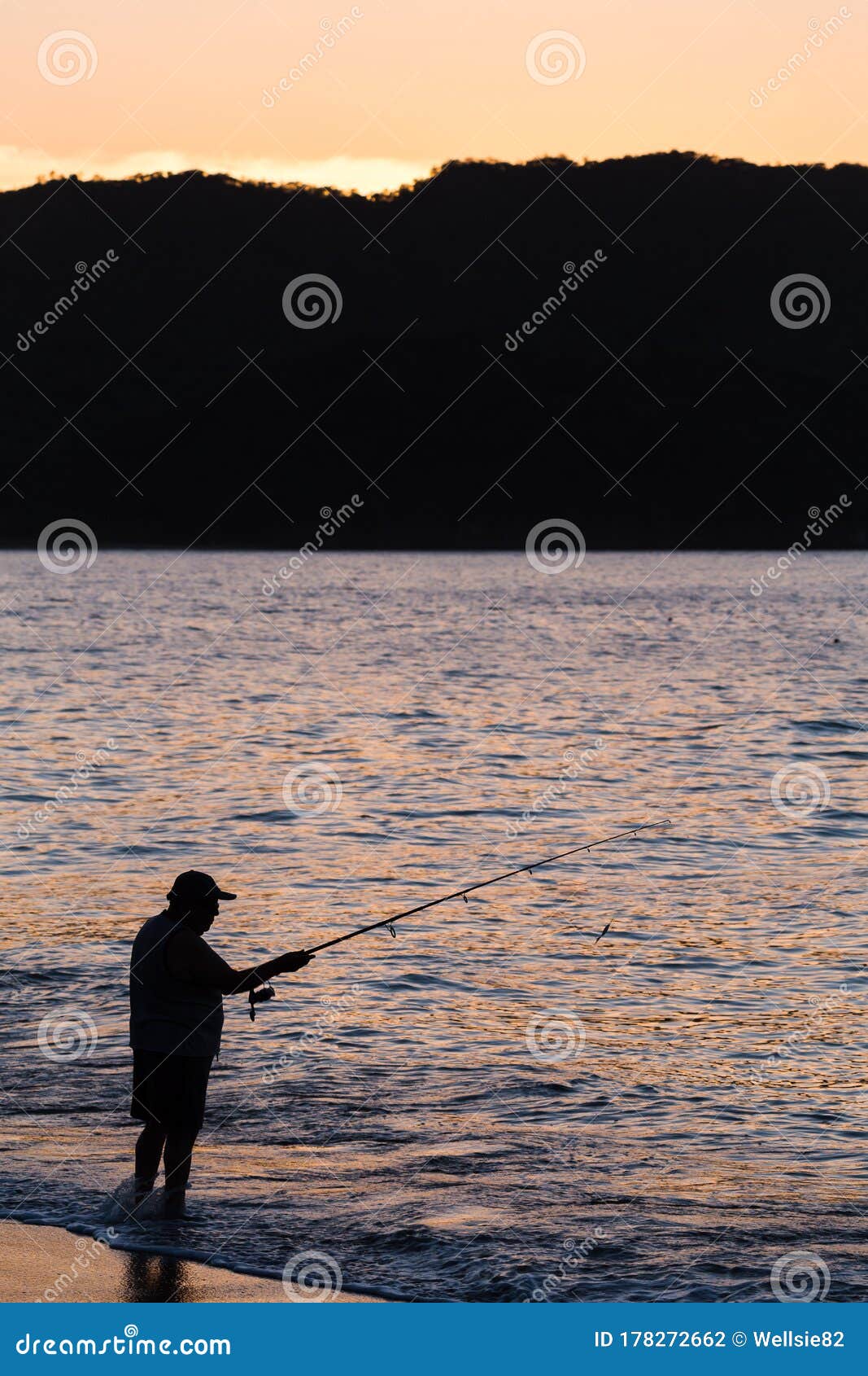 silhouette of a tico fishing