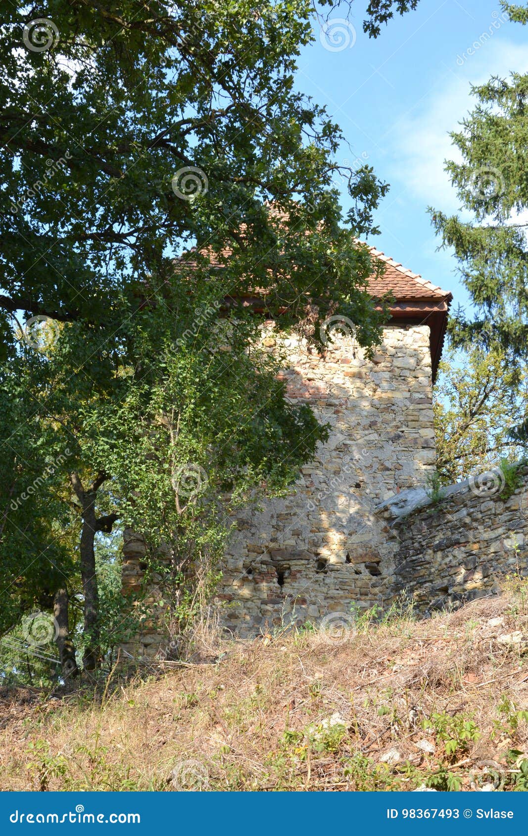 fortified medieval saxon evangelic church in the village ticuÃÅ¸u vechi, deutsch-tekes,