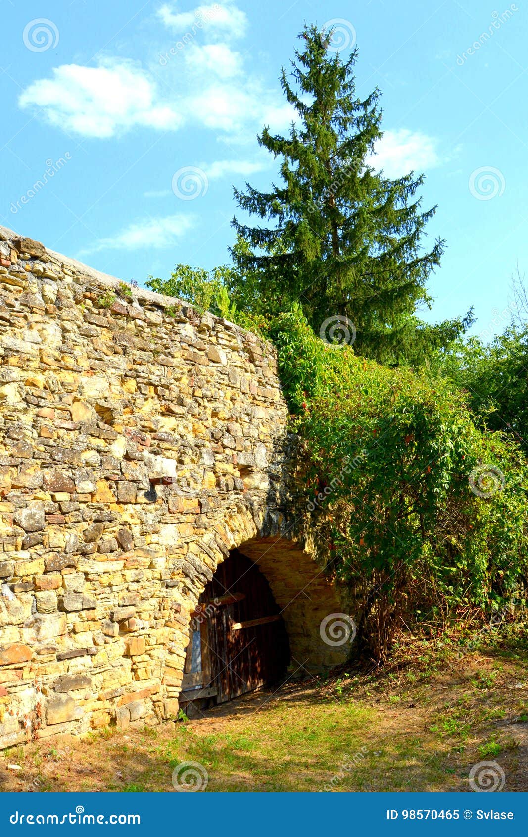 fortified medieval saxon evangelic church in the village ticuÃÅ¸u vechi, deutsch-tekes,