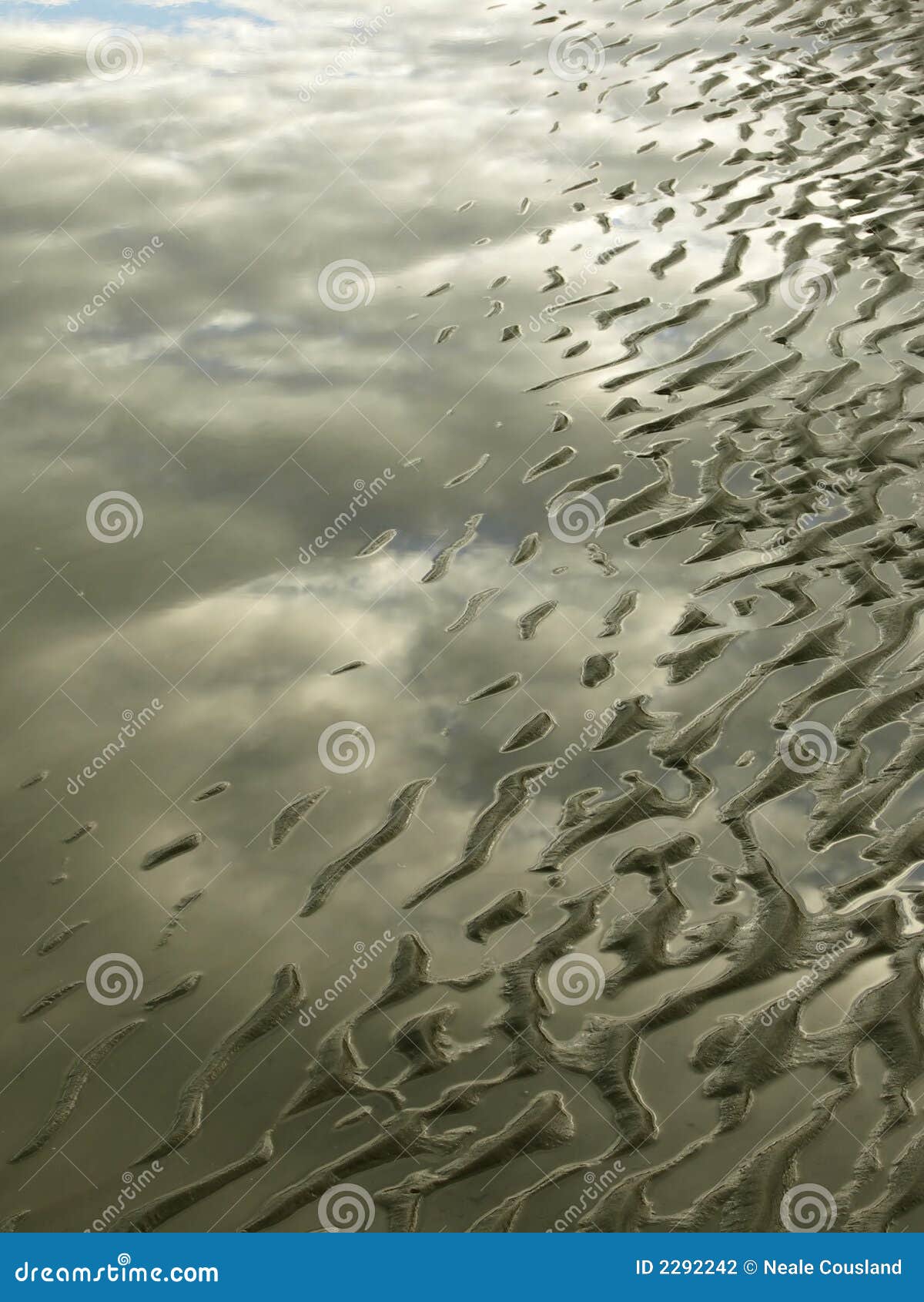 tidal stock tidal stock