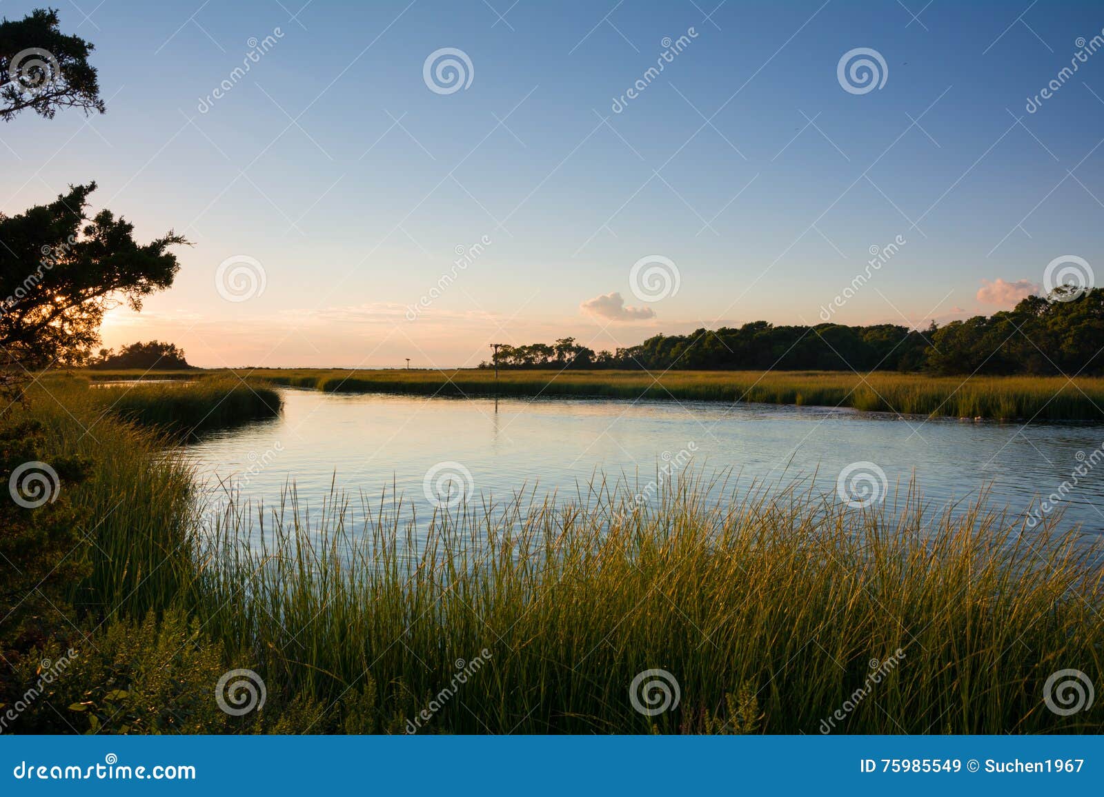 tidal creek and salt marsh on horseshoe cove, sandy hook