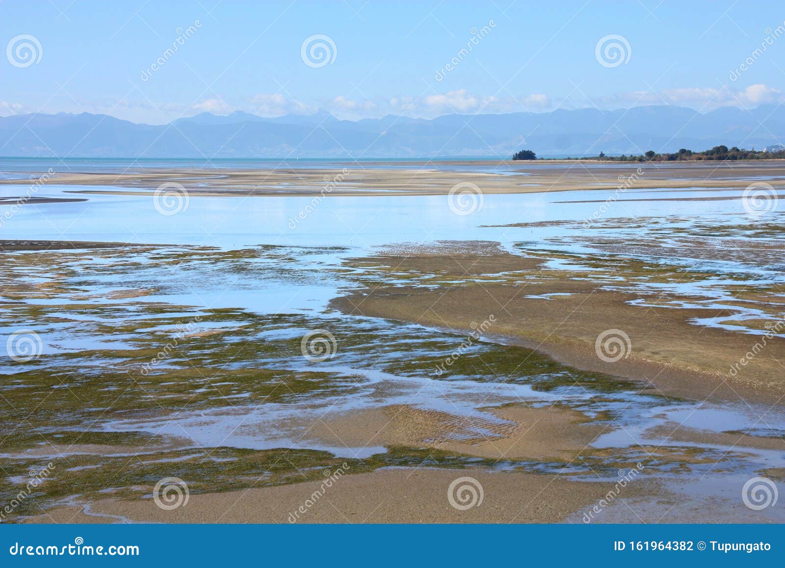 tidal mudflats landscape