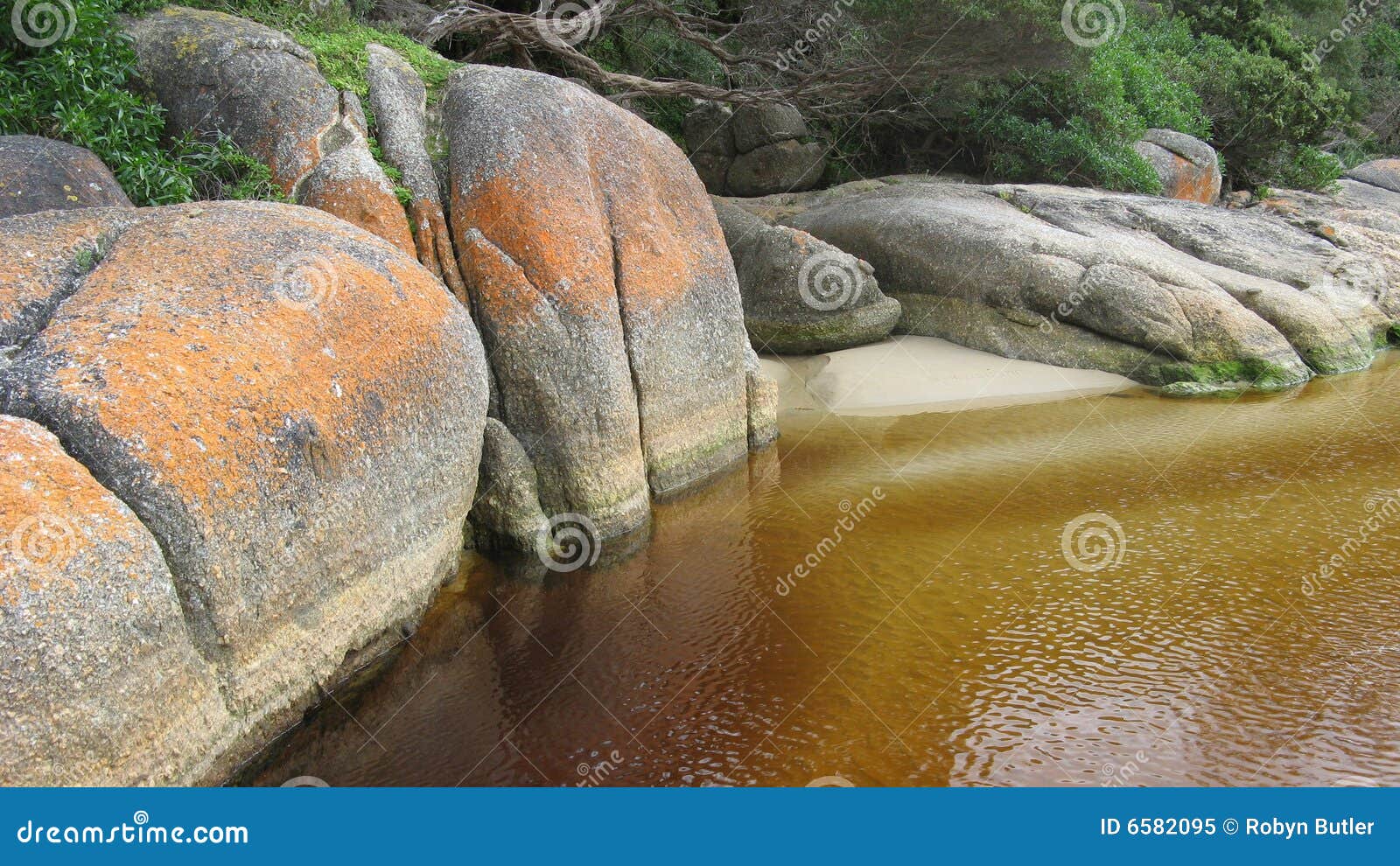 tidal river rocks