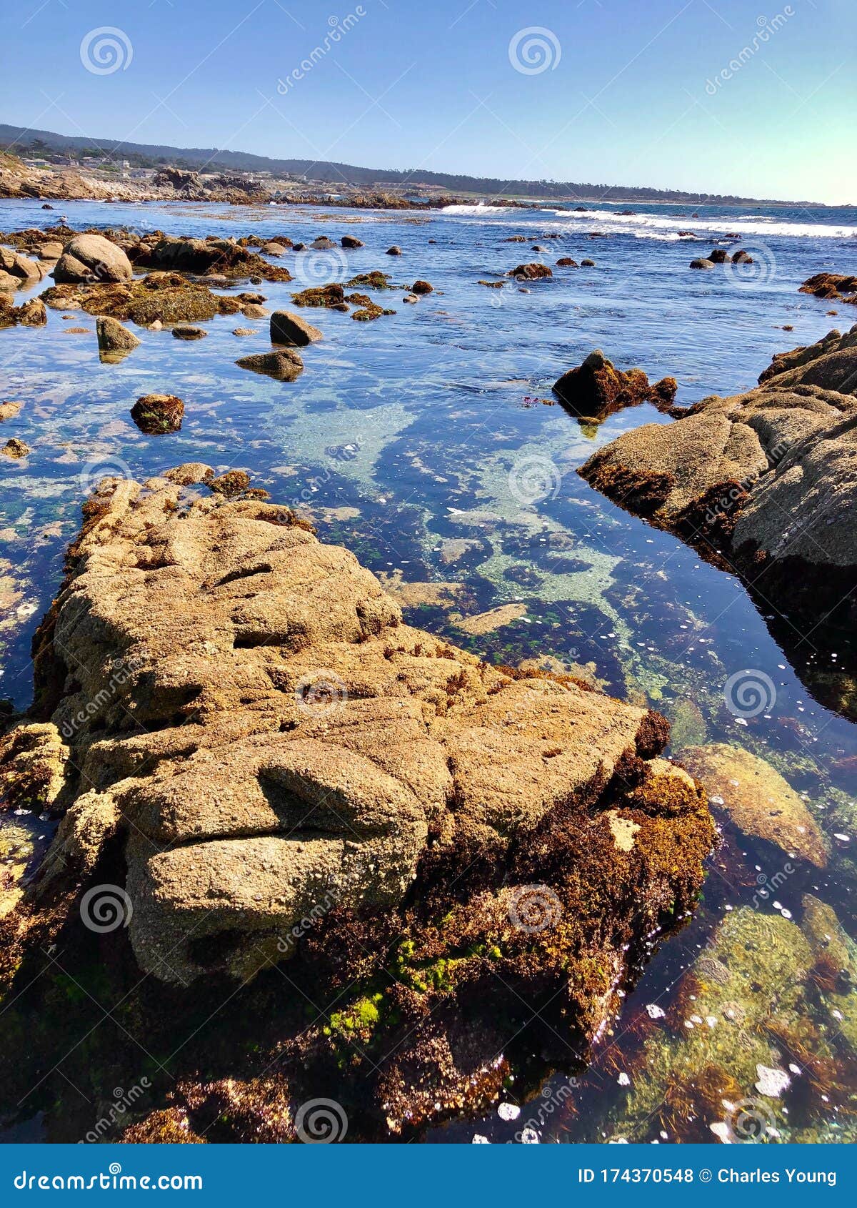 Tide pool stock photo. Image of great, tide, california 174370548