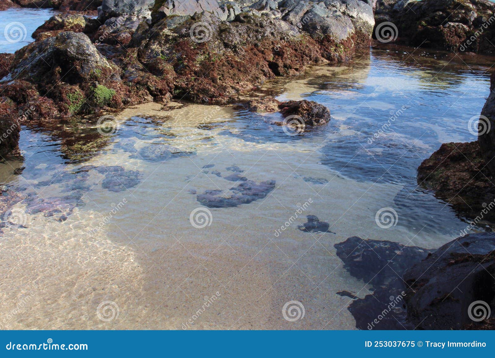 Tide Pools Formed on Paia Bay Enclosed by Large Volcanic Boulders in 