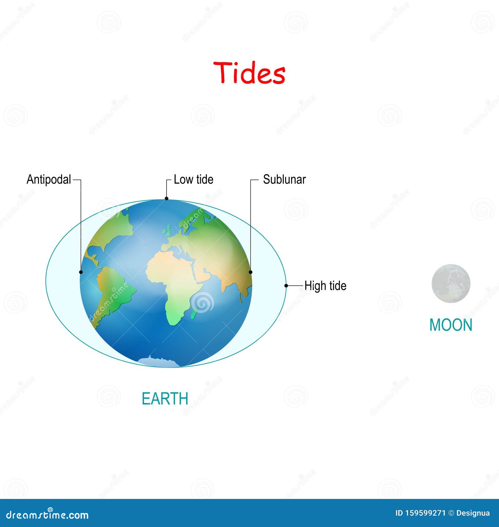 tides-high-and-low-tides-water-level-stock-vector