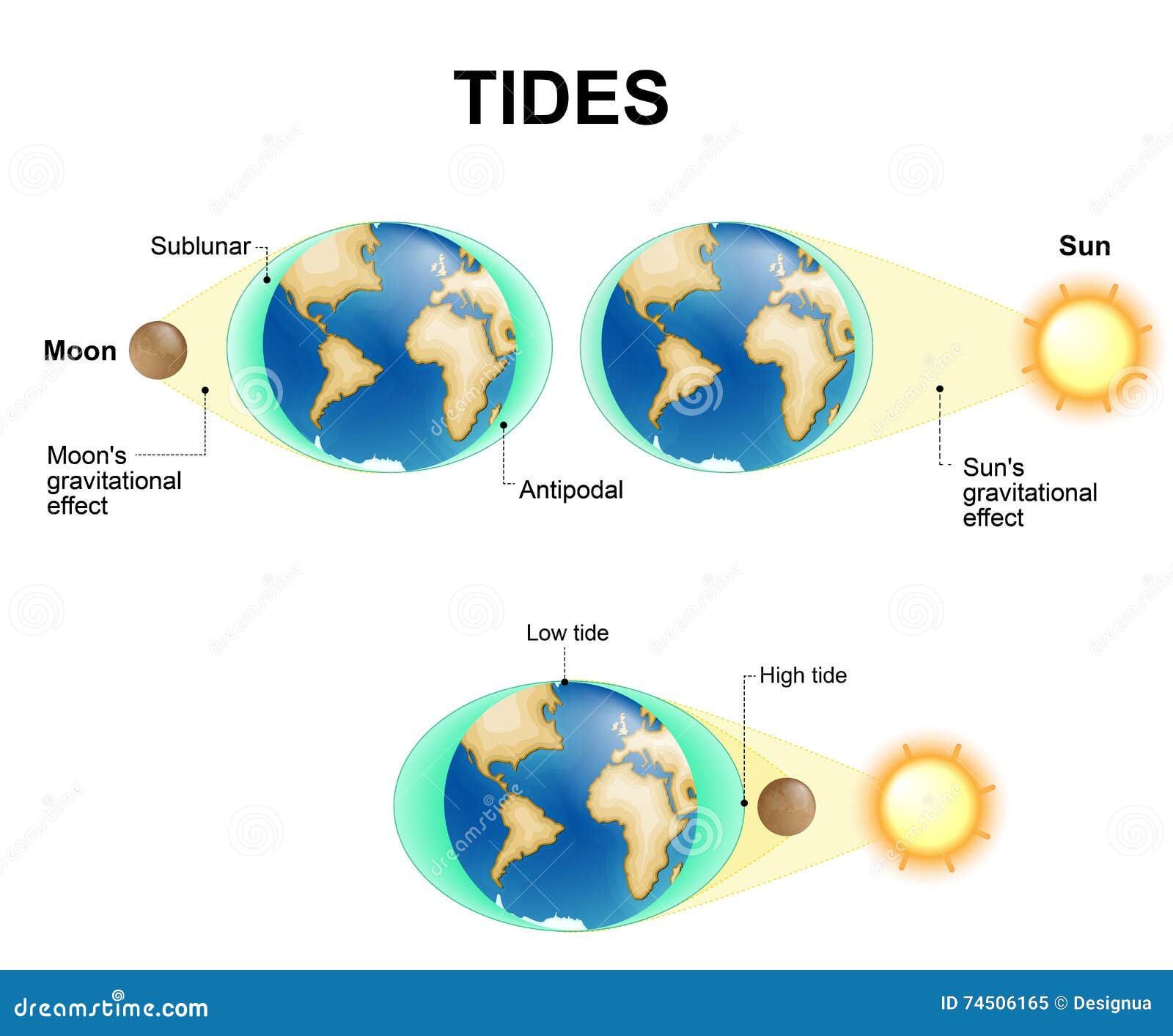tides. moon, sun and earth