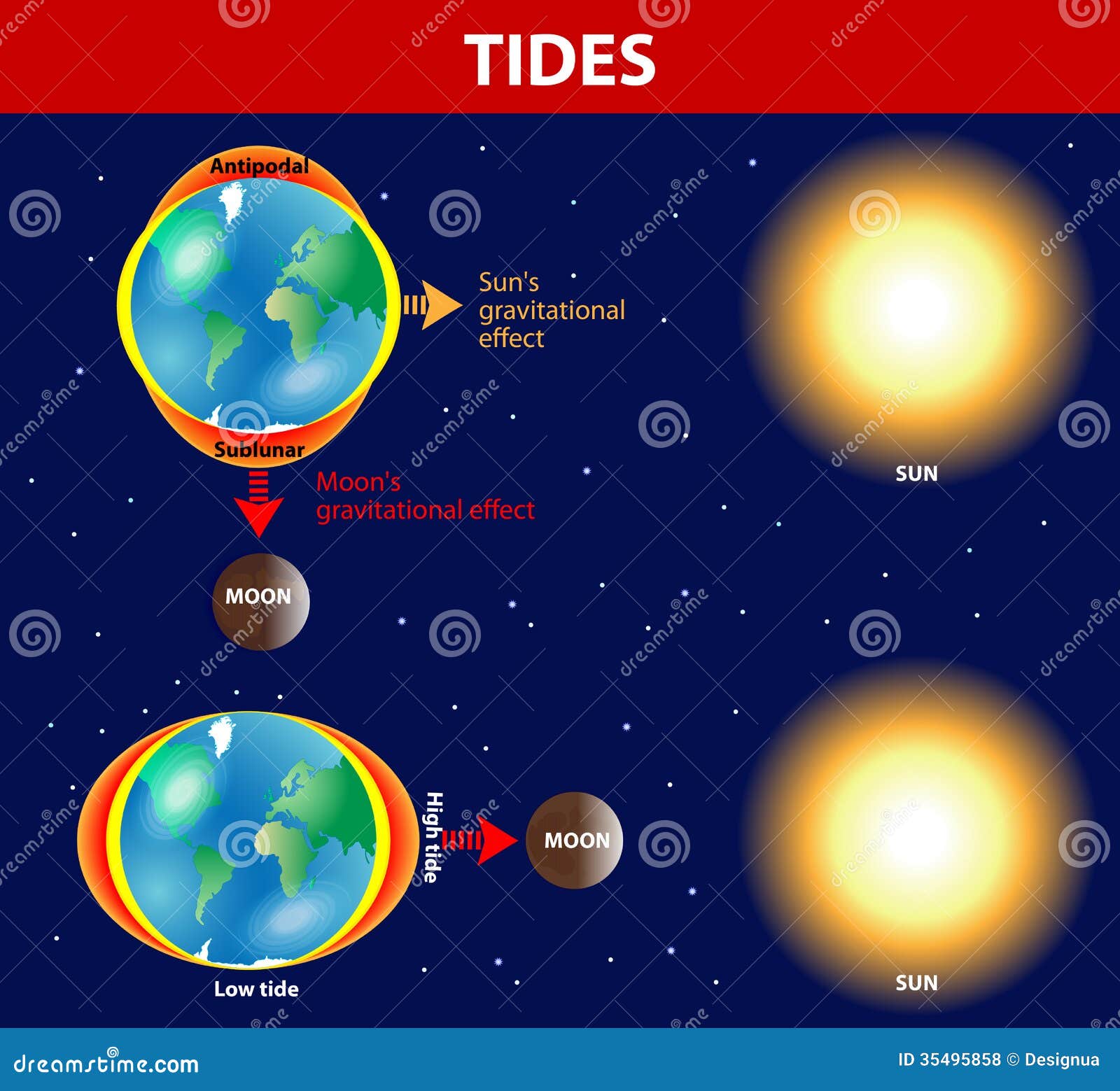 tides.  diagram.