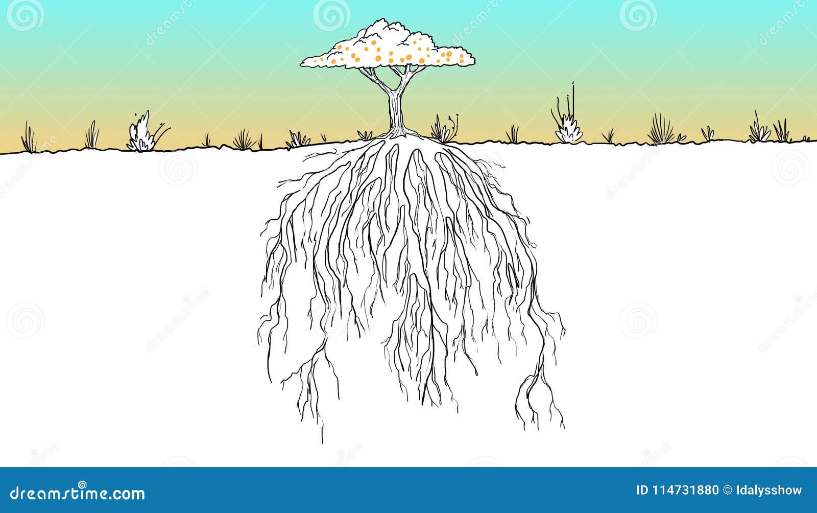 Tiefe Wurzeln stock abbildung. Illustration von dschungel 114731880