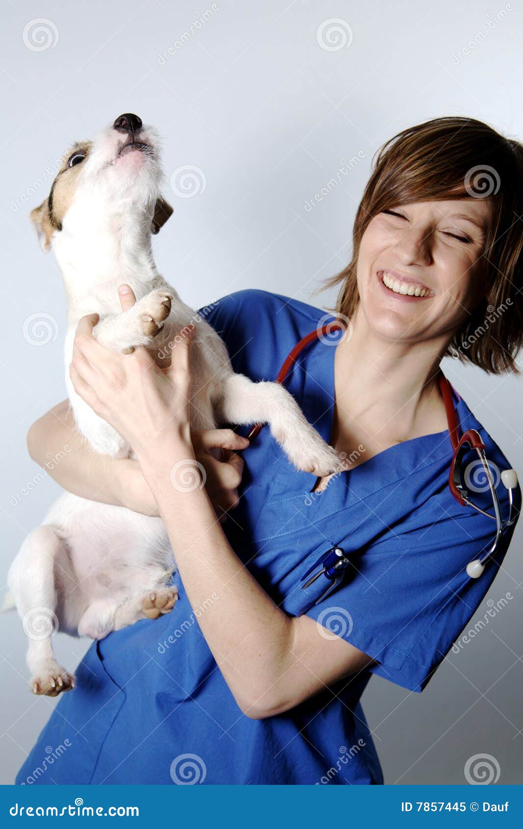 Tierarzt und Hund stockbild. Bild von haustier, schablone 7857445