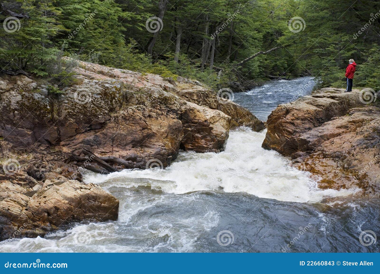 tierra del fuego - patagonia - argentina