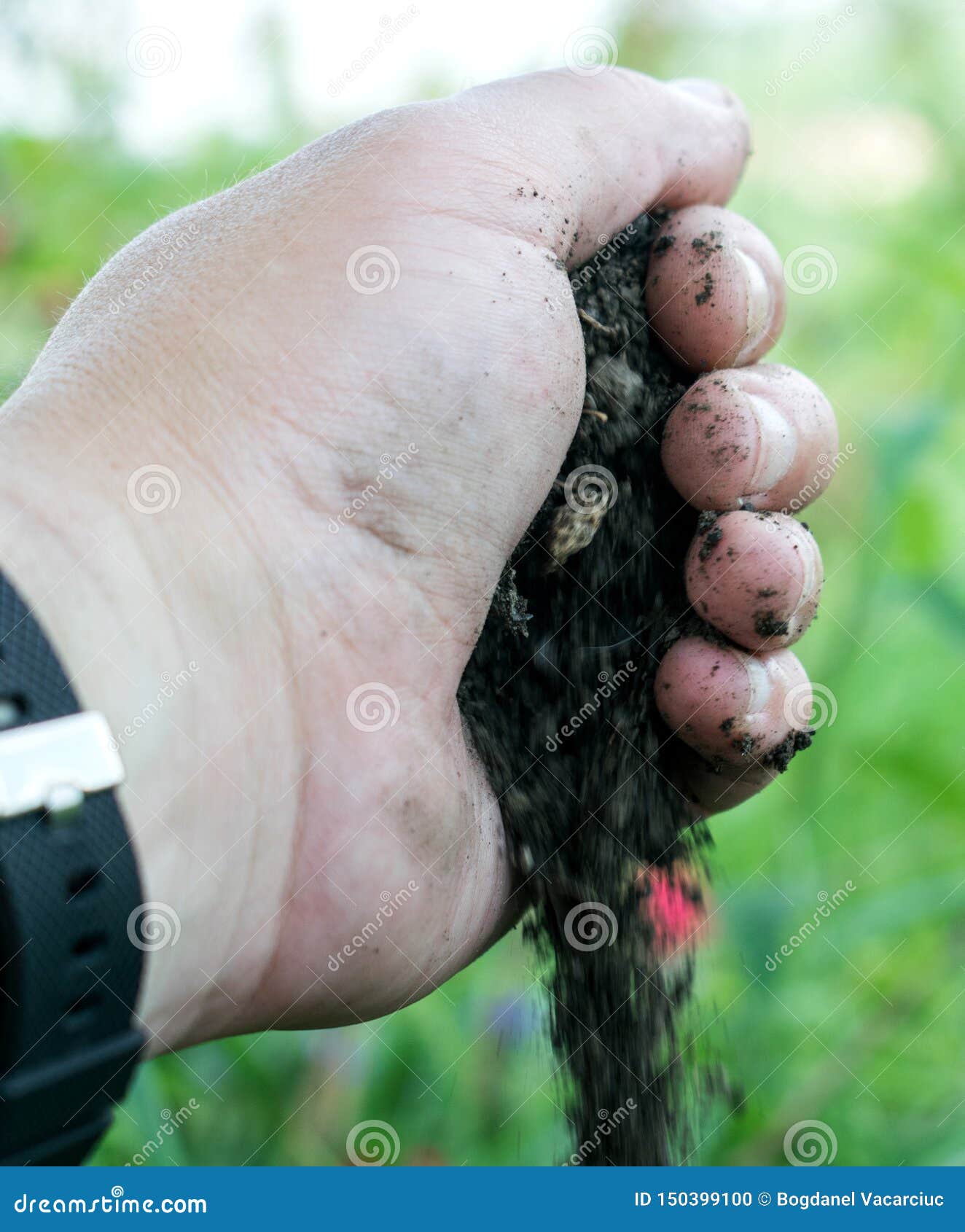 Tierra que cae de la agricultura natural de la palma. Suelo que cae de la agricultura natural de la palma