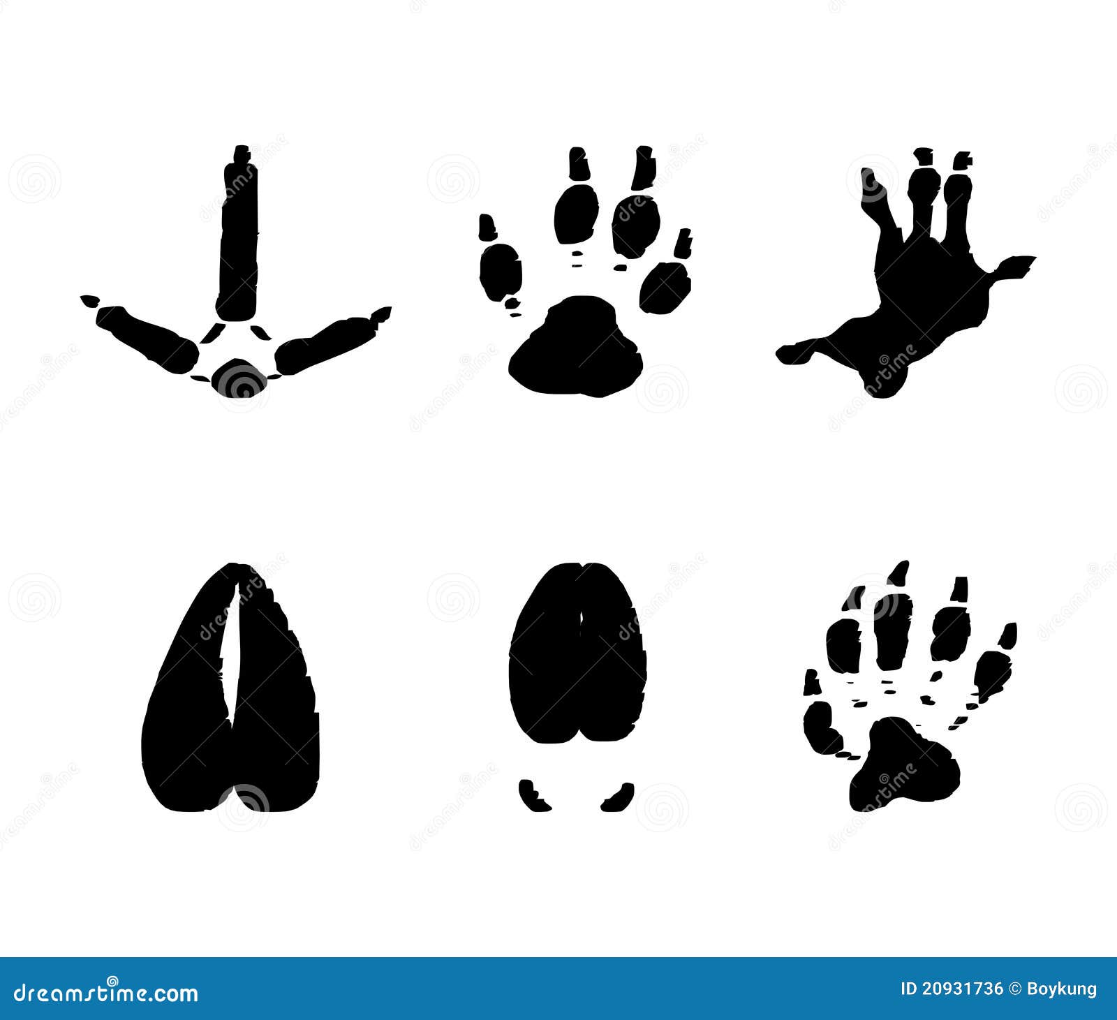 Tierspuren stock abbildung. Illustration von abdruck - 20931736