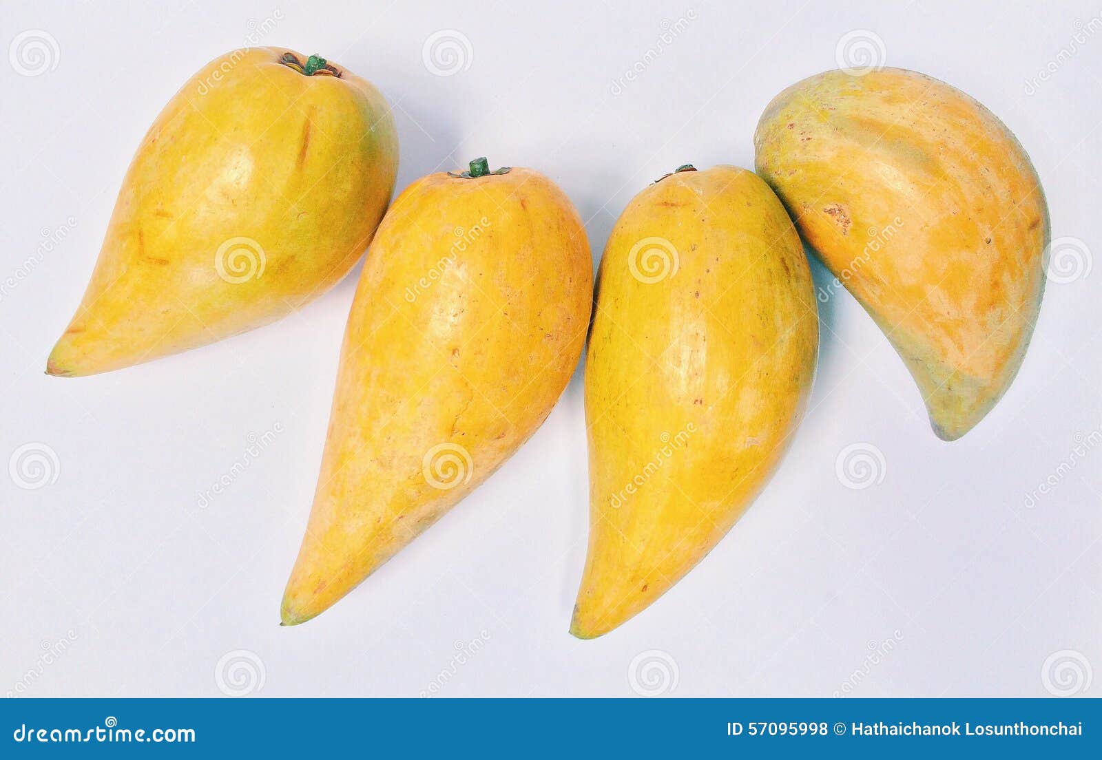 Tiesa, eggfruit, Canistel stock photo. Image of eggfruit 57095998