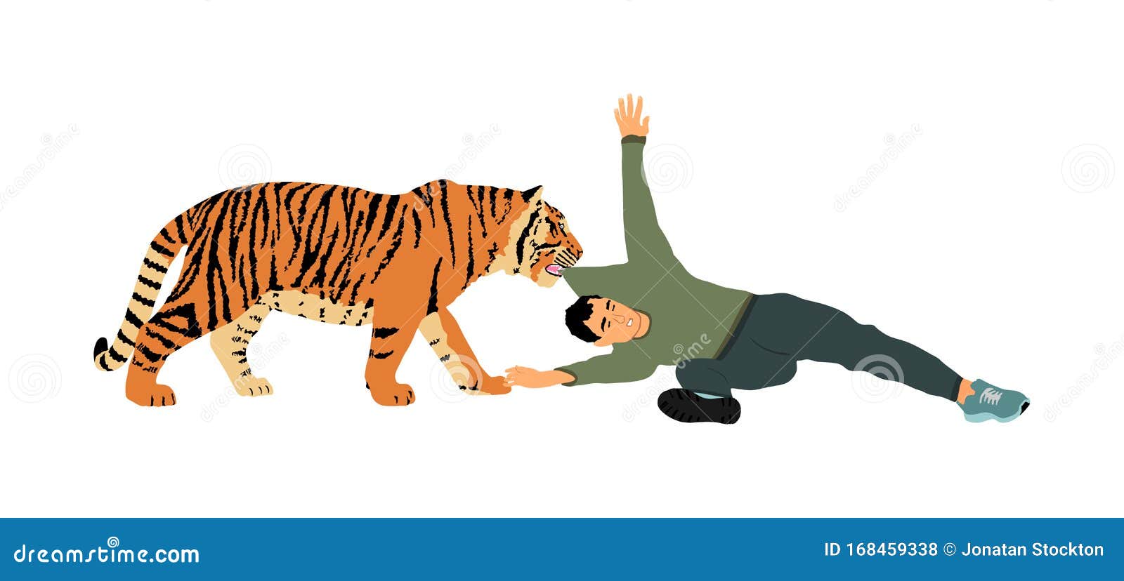 Tiger Attacks Man Illustration Isolated on White Background. Wild Animal  Attack Person. Beast with Prey in the Jaws Stock Illustration -  Illustration of enemy, injured: 168459338