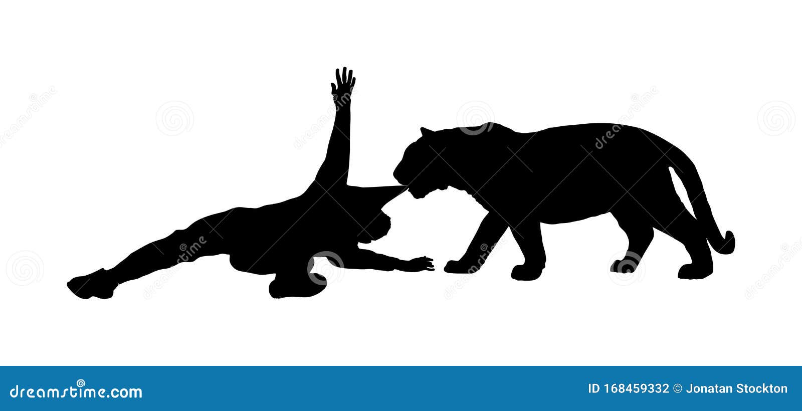 Tiger Attacks Man Silhouette Isolated on White Background. Wild Animal  Attack Person. Beast with Prey in the Jaws Stock Illustration -  Illustration of killer, hunt: 168459332