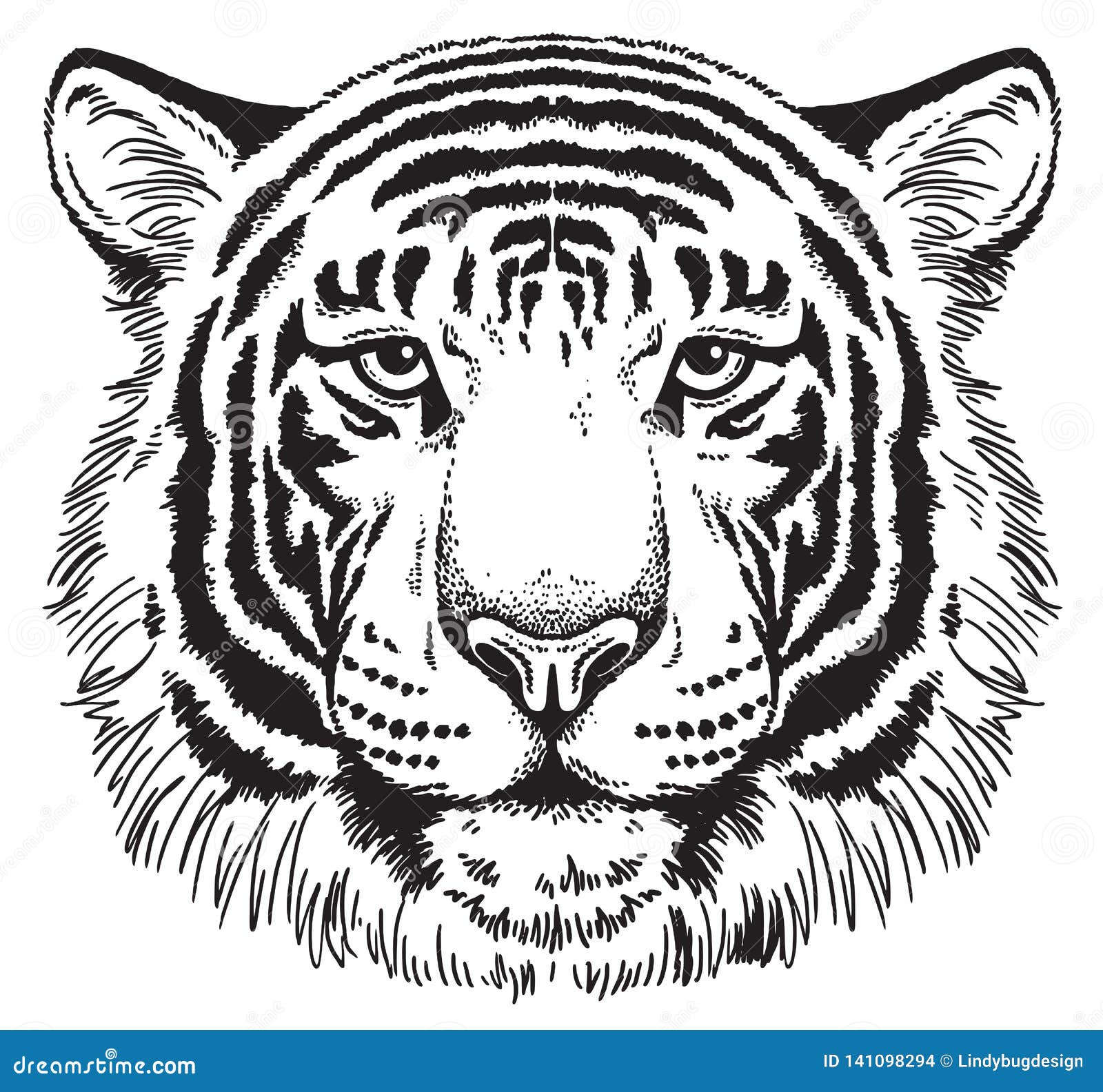 Tiger Face Drawing by Bharat Rai  Saatchi Art