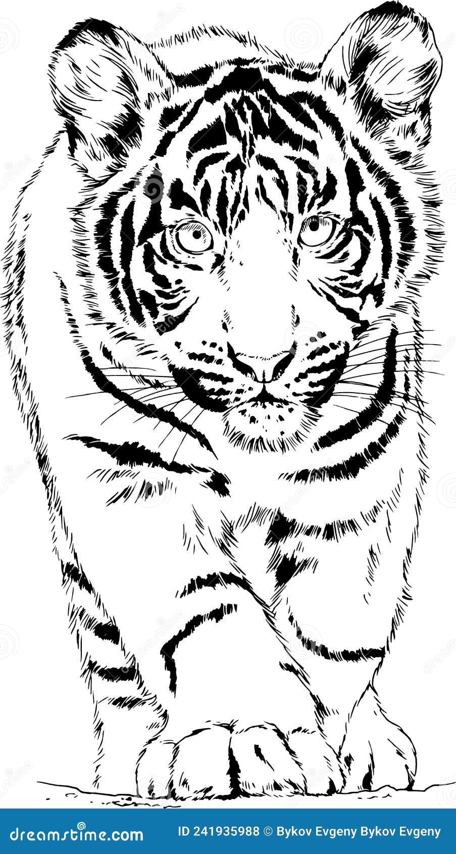 Tiger Drawn with Ink from the Hands of a Predator Tattoo Stock Vector ...