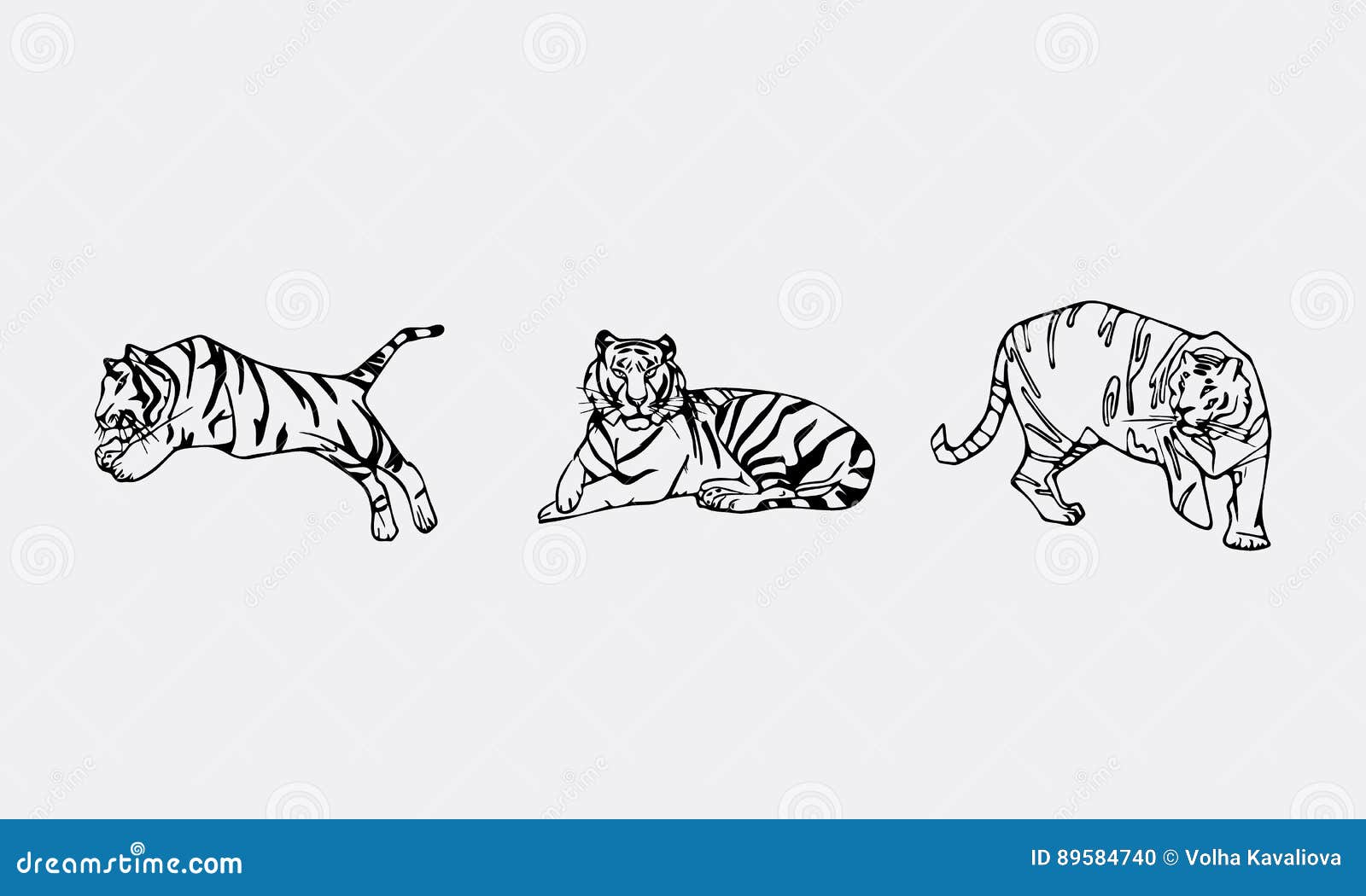 Tiger emblem set stock vector. Illustration of handdrawn - 89584740