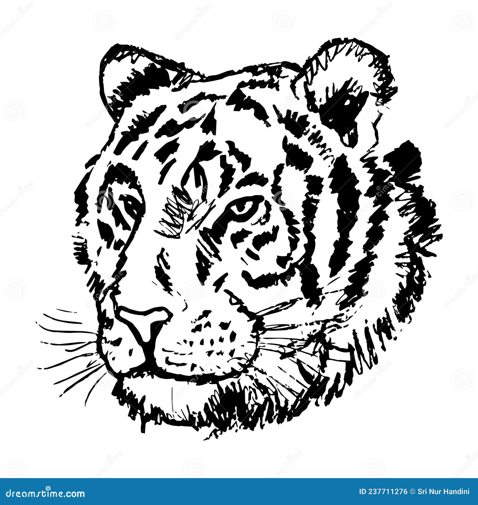 Tiger Face Line Drawing Illustration Stock Illustration - Illustration ...