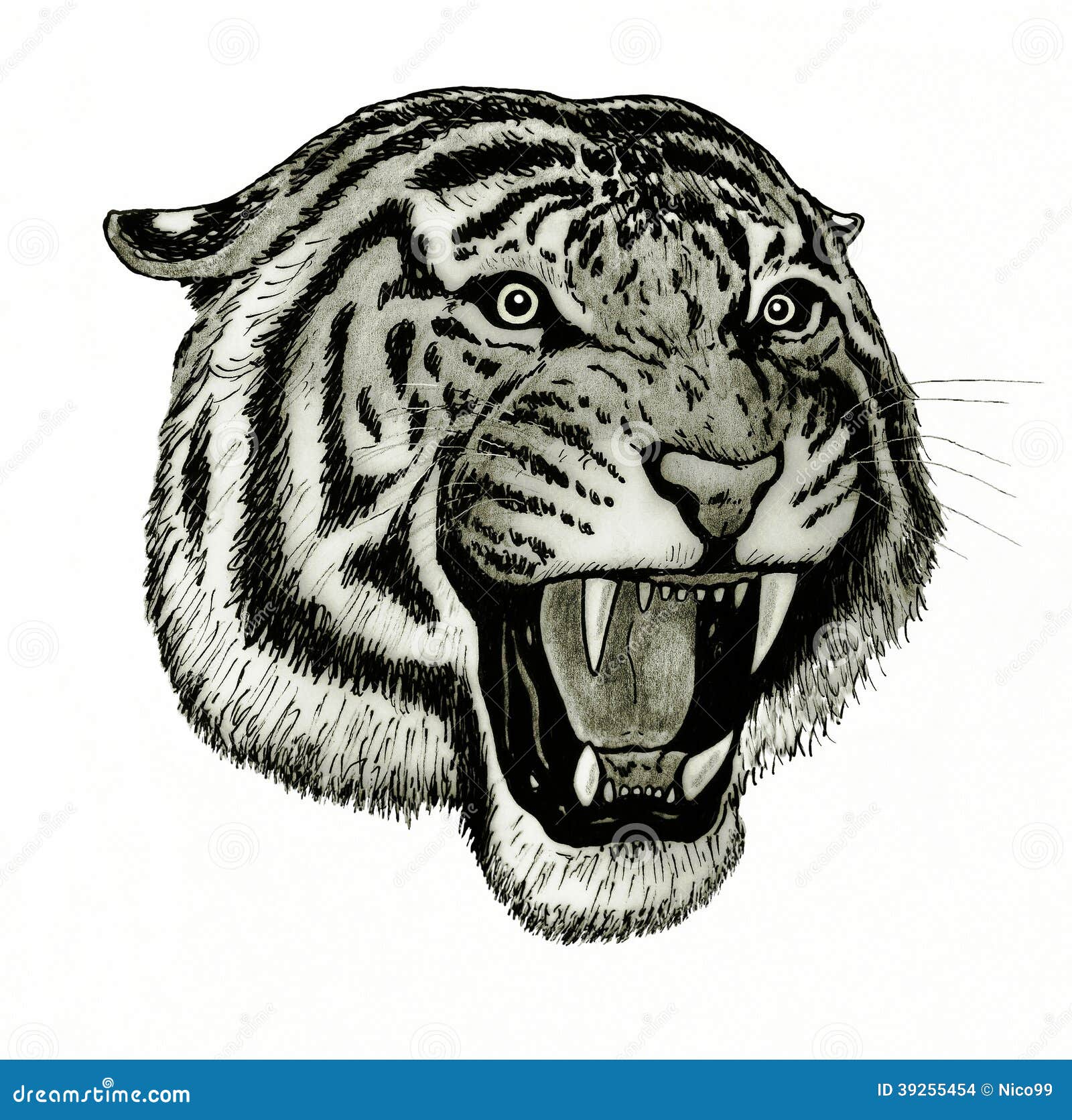 Angry tiger head hi-res stock photography and images - Alamy