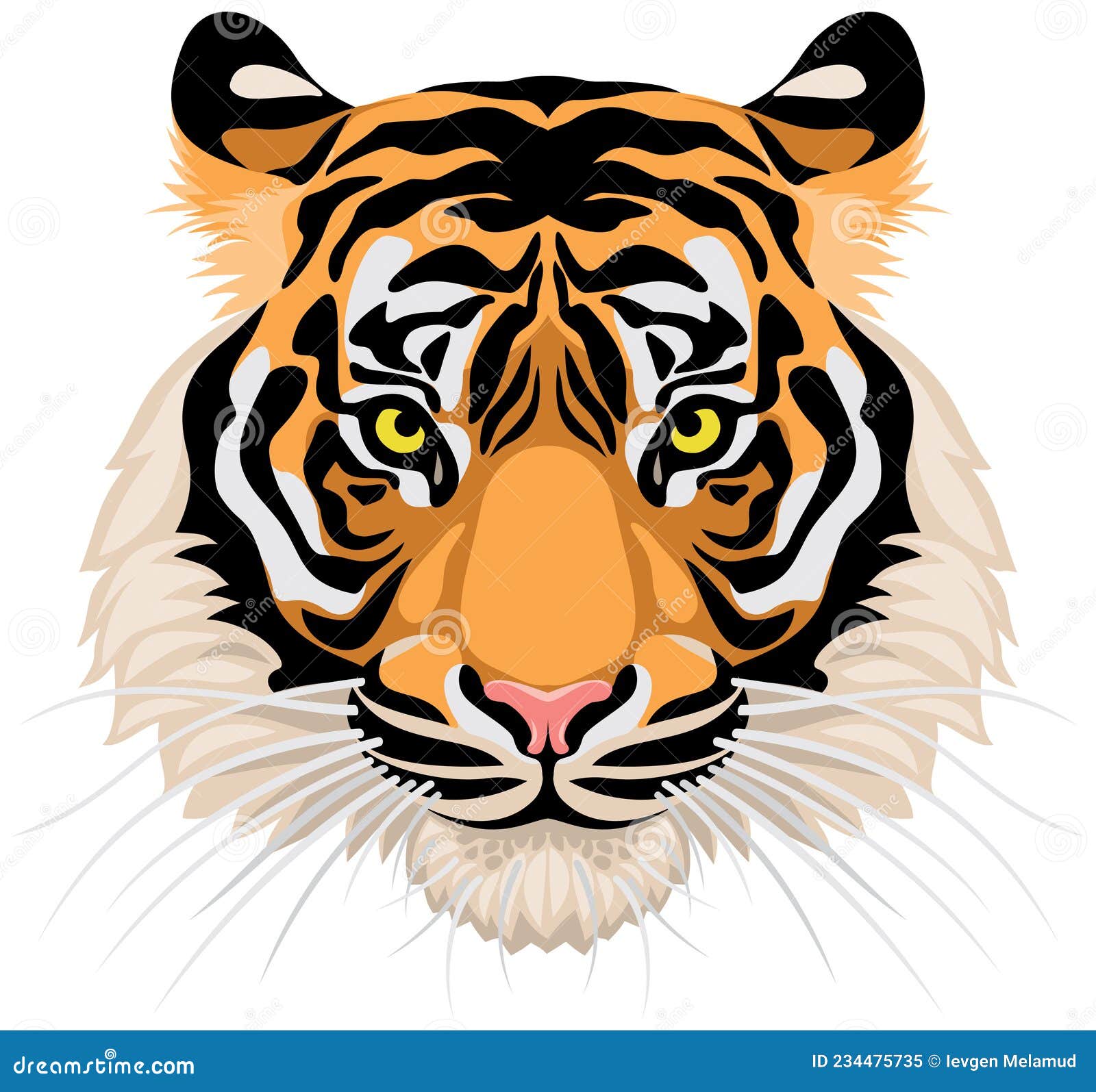 Siberian Tiger Transparent Background Stock Illustrations – 3 Siberian Tiger  Transparent Background Stock Illustrations, Vectors & Clipart - Dreamstime