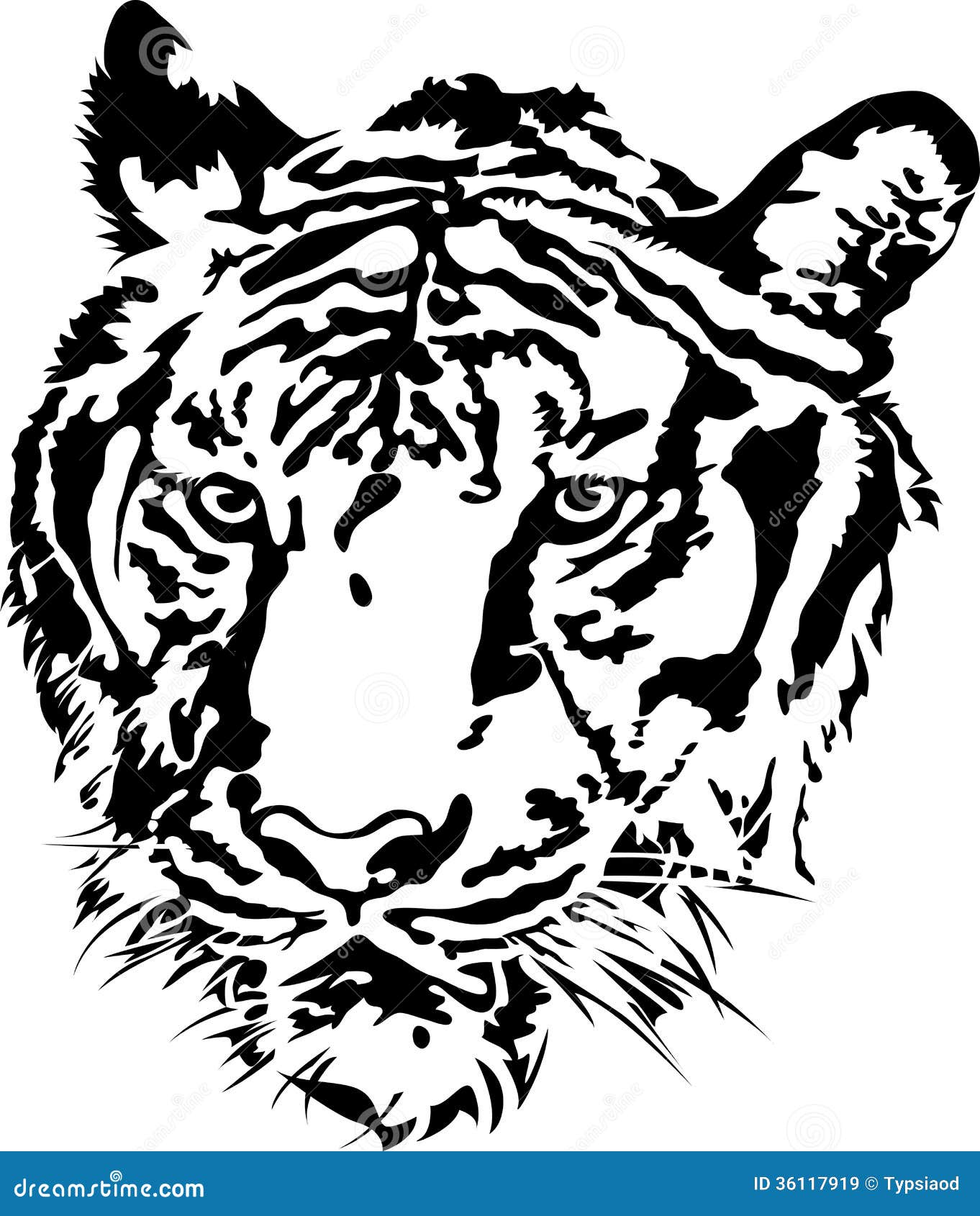 Drawing Bengal Tiger locking or big cat, Stock vector