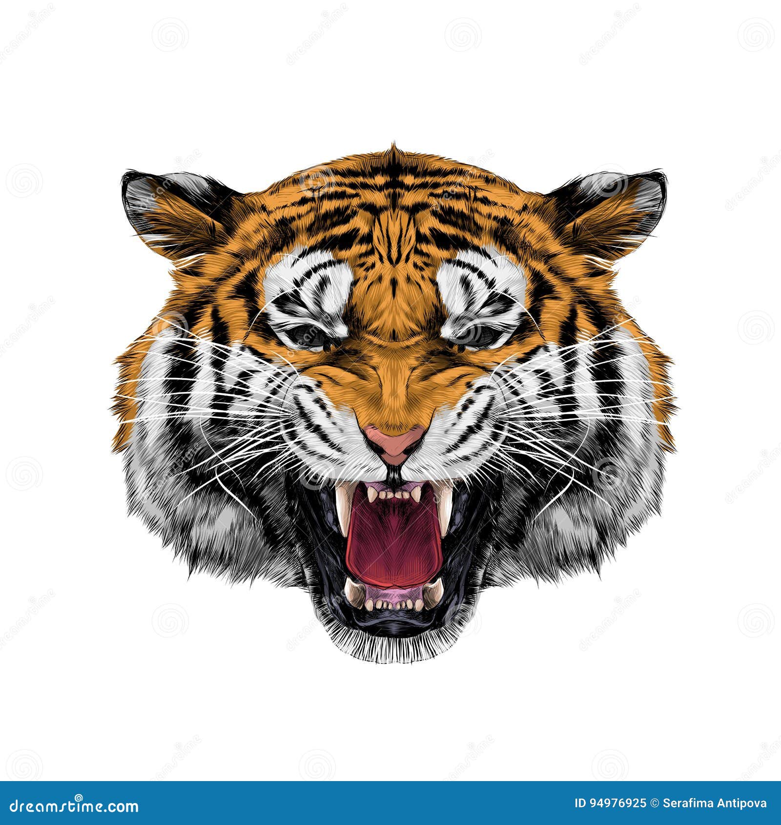 Tiger Head Drawing Images  Browse 636 Stock Photos Vectors and Video   Adobe Stock