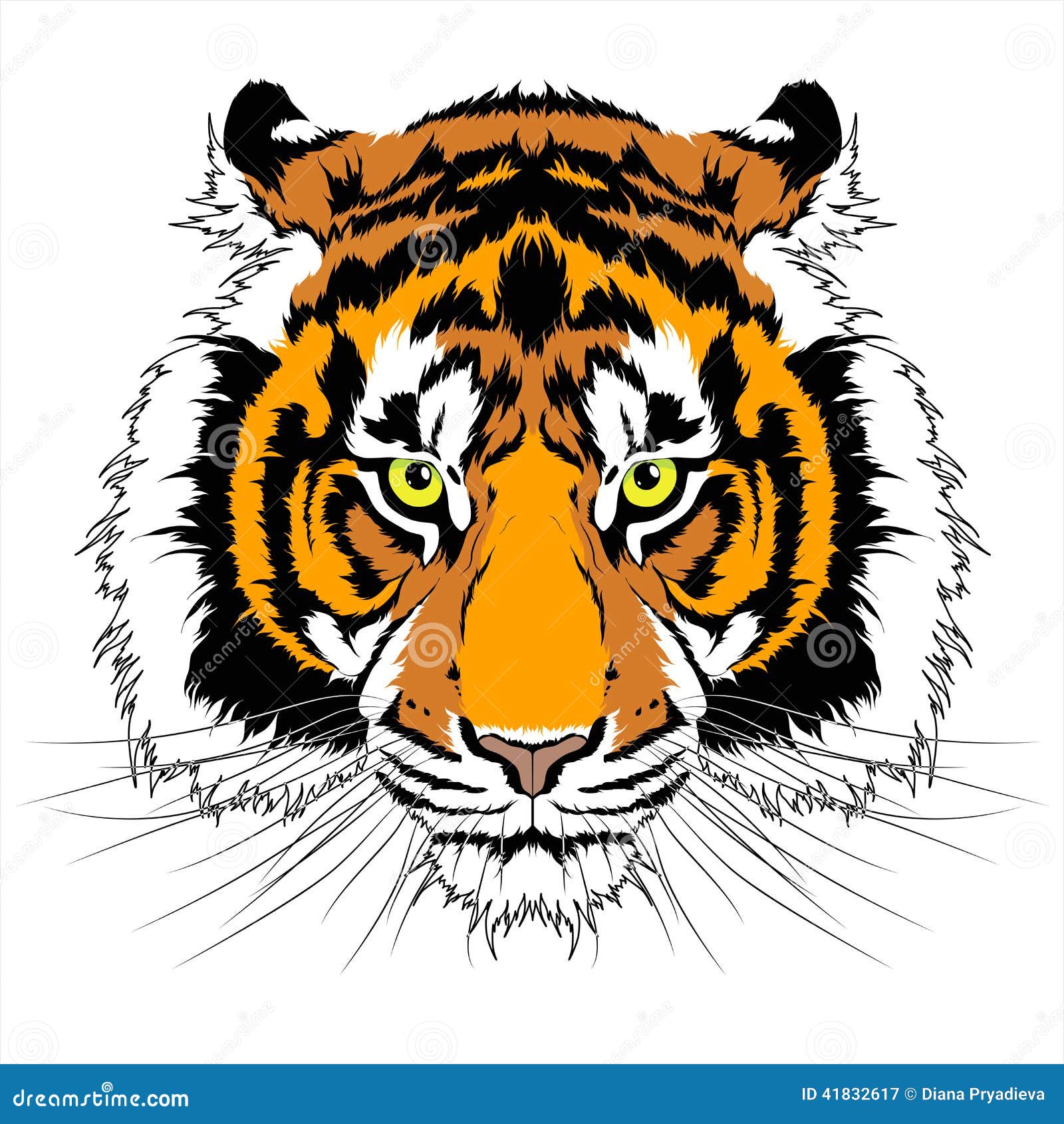 Tiger head stock vector. Illustration of painting, mammal - 41832617