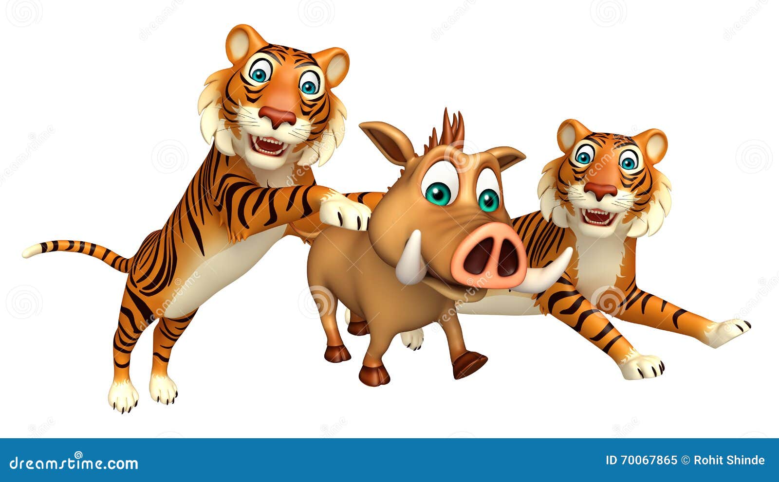 Tiger hunting Boar stock illustration. Illustration of wildlife - 70067865