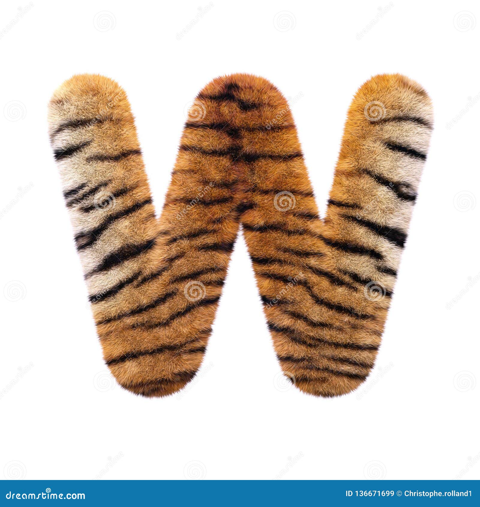 Tiger Letter W Capital D Feline Fur Font Suitable For Safari